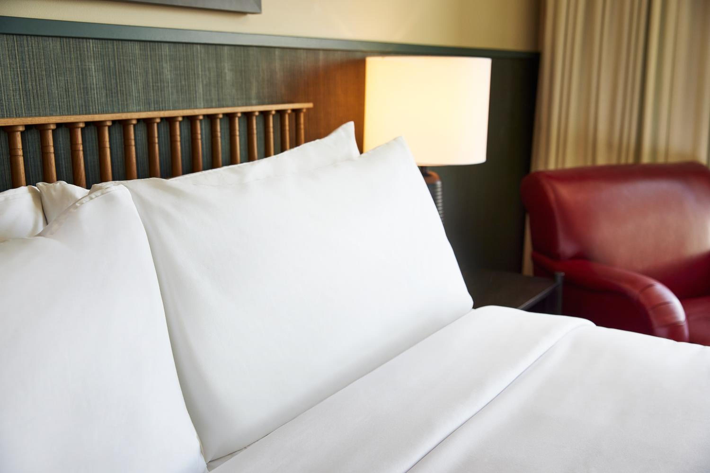 King Room - Photo 5