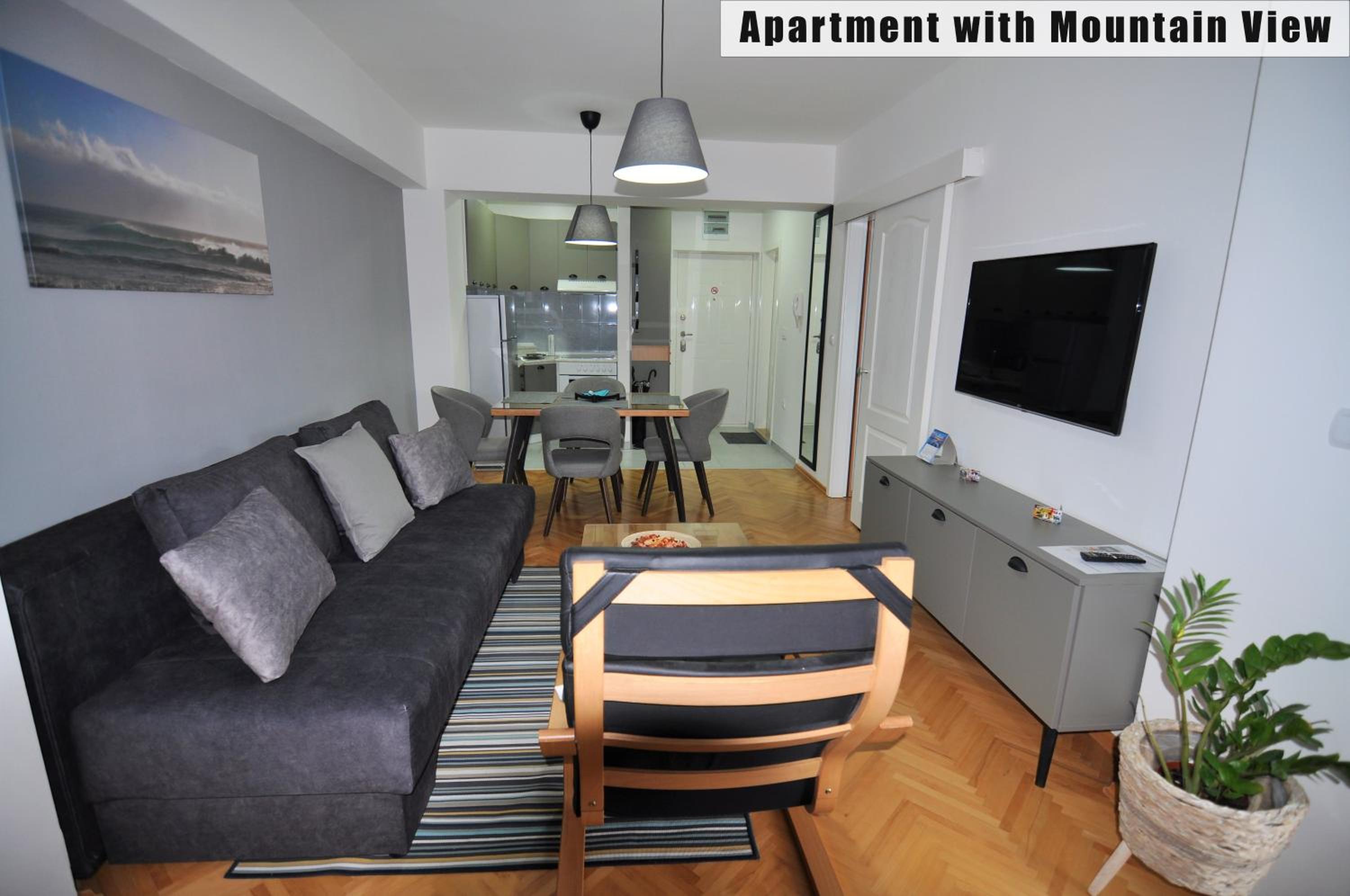 Apartment with Mountain View photo 3