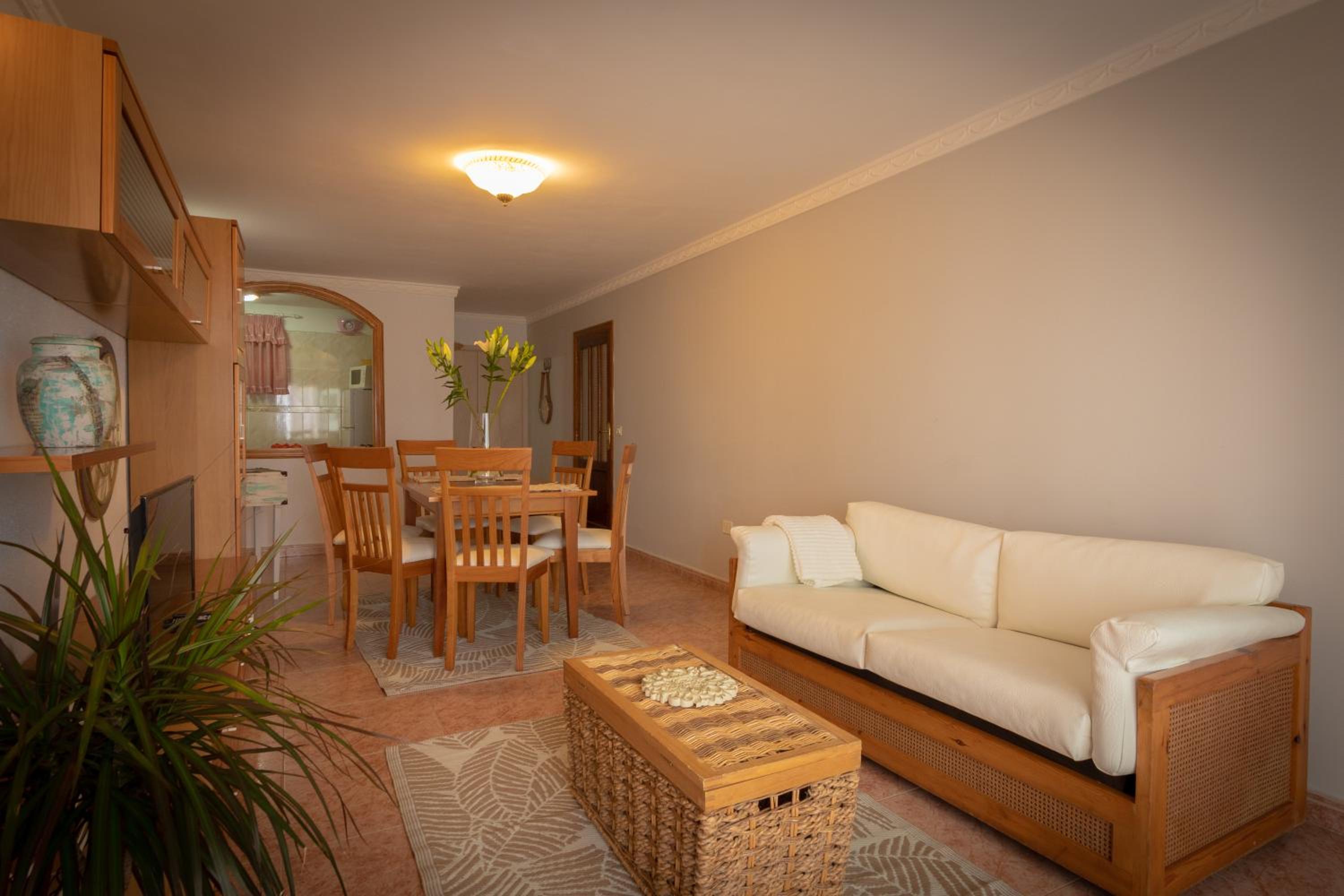 Apartment with Terrace photo 2
