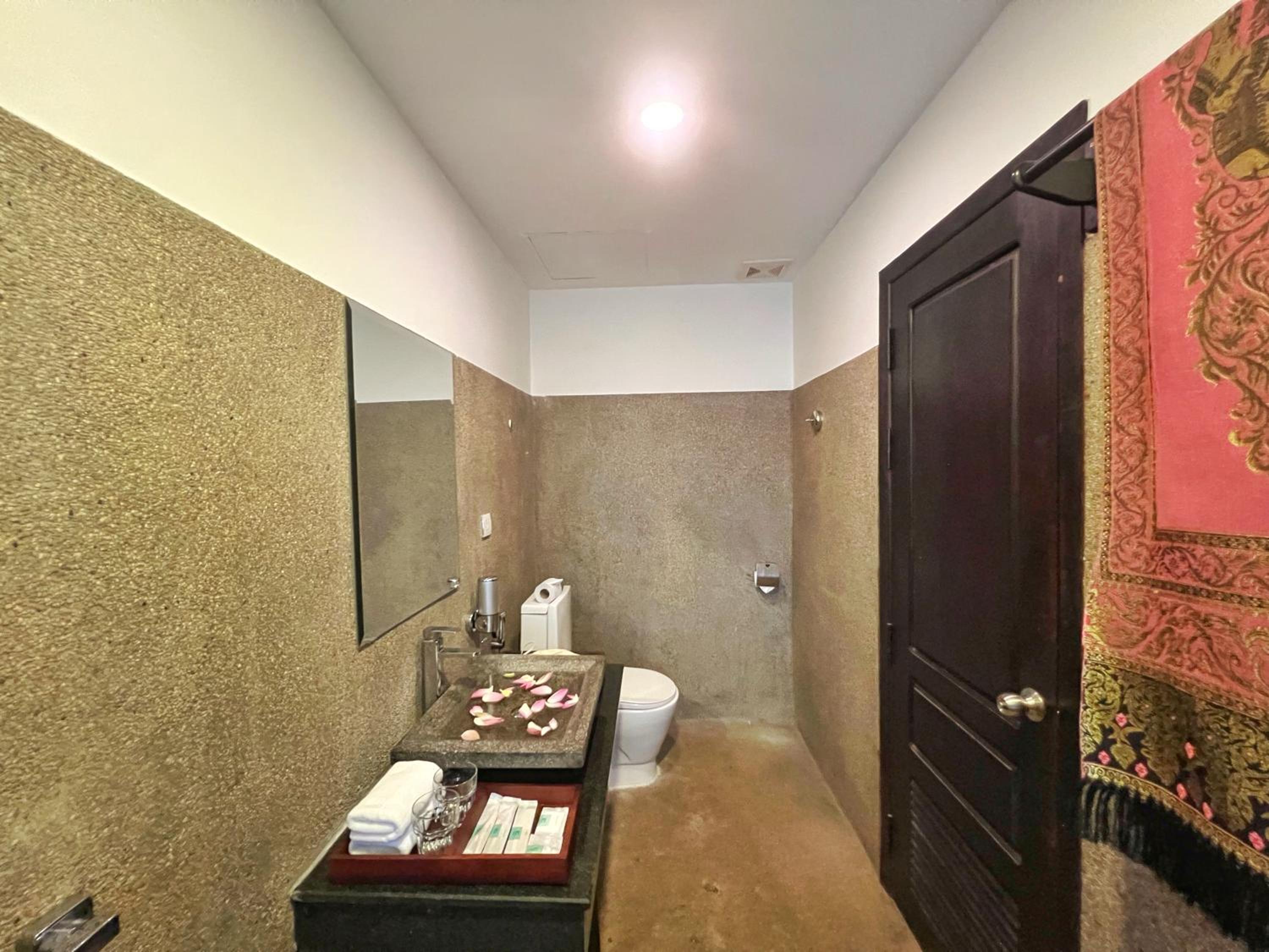 Deluxe Twin Pool access with Balcony - Photo 18
