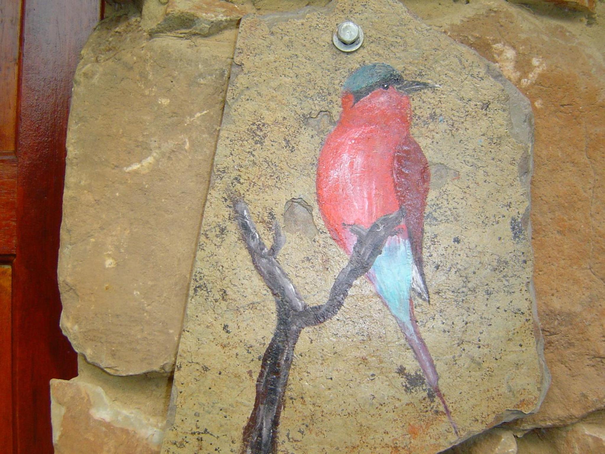 Bee Eater Self Catring Unit photo 3