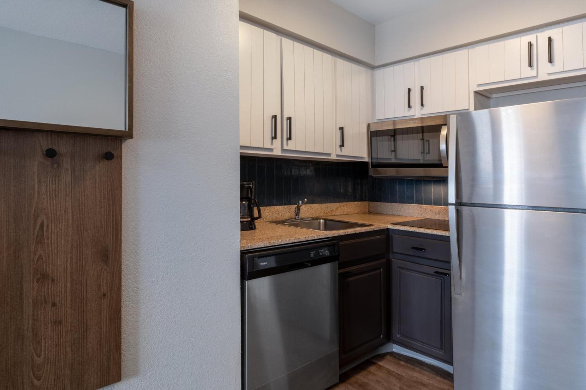 Studio Suite - Photo 4