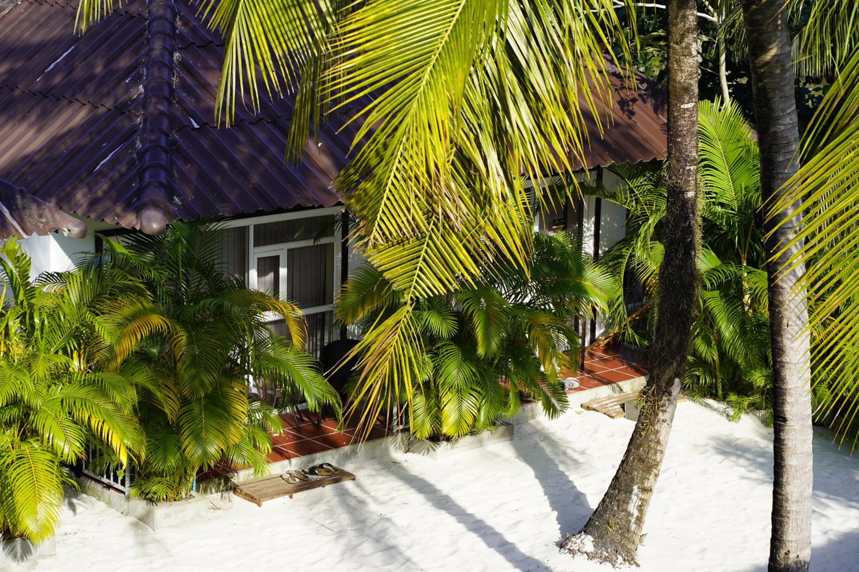 Family Bungalow - Photo 3