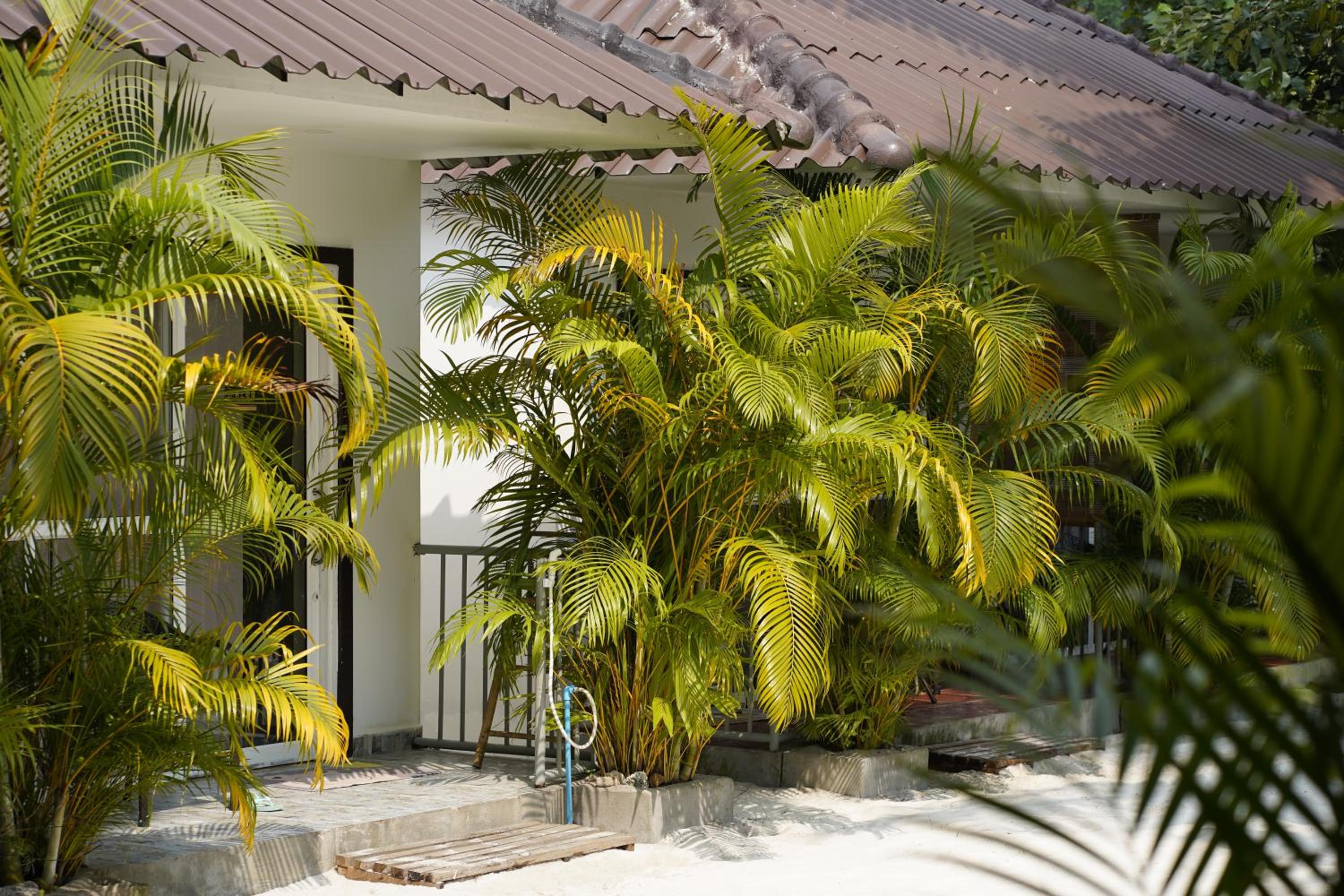 Standard Bungalow - Photo 8