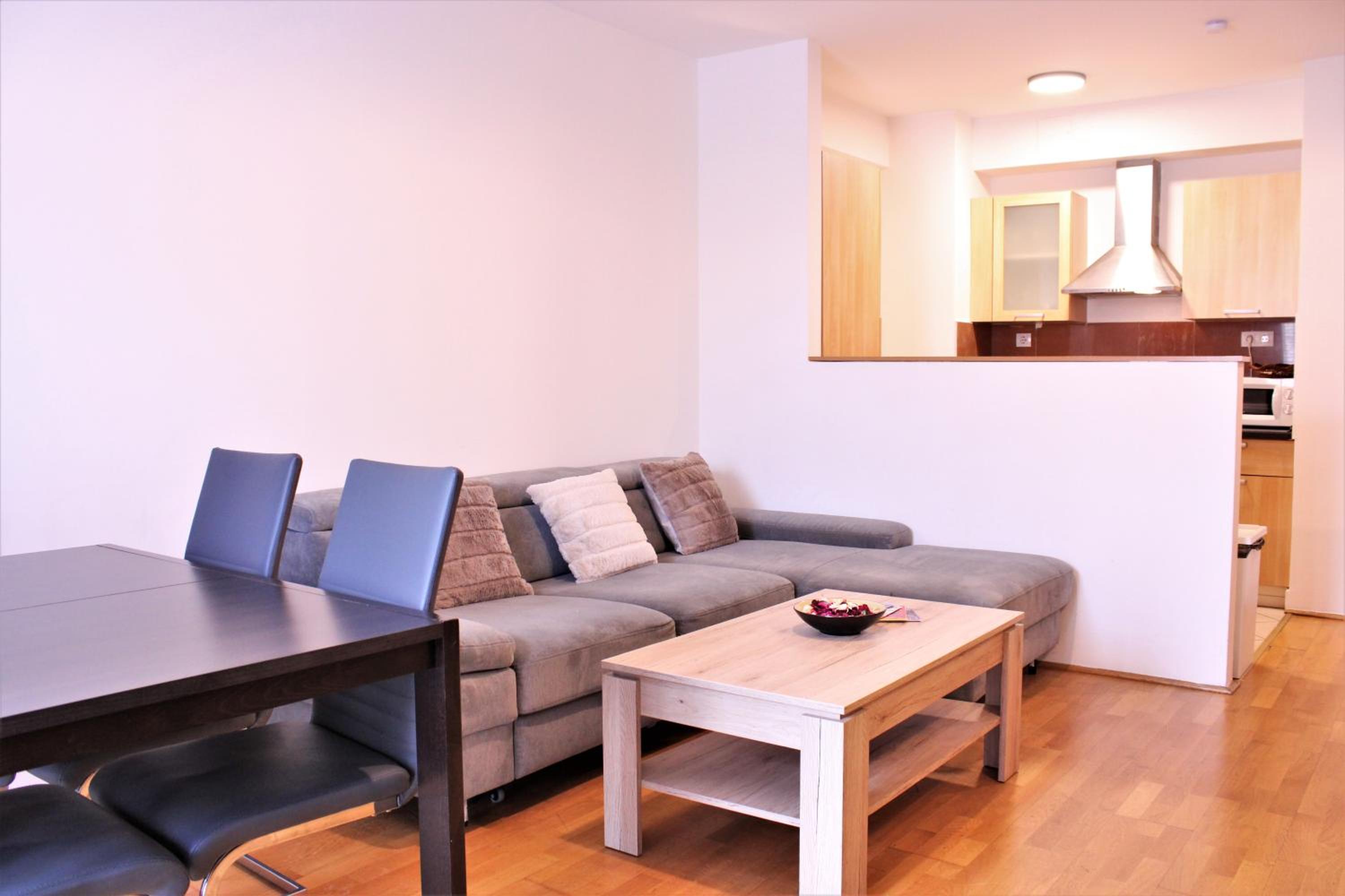 Superior One-Bedroom Apartment thumbnail 6