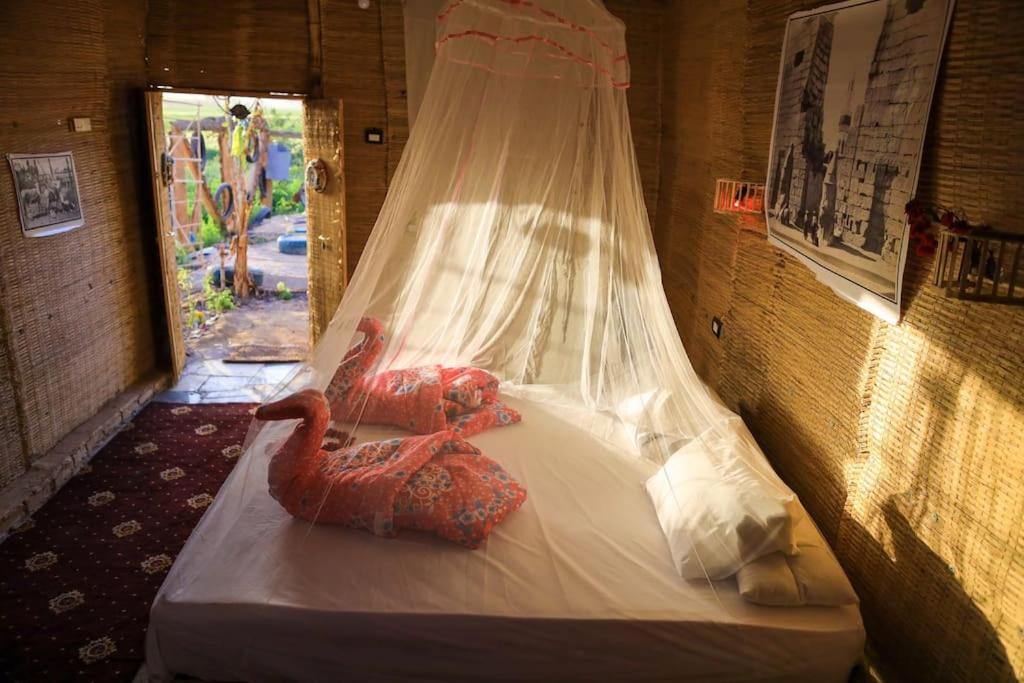 Tent photo 3