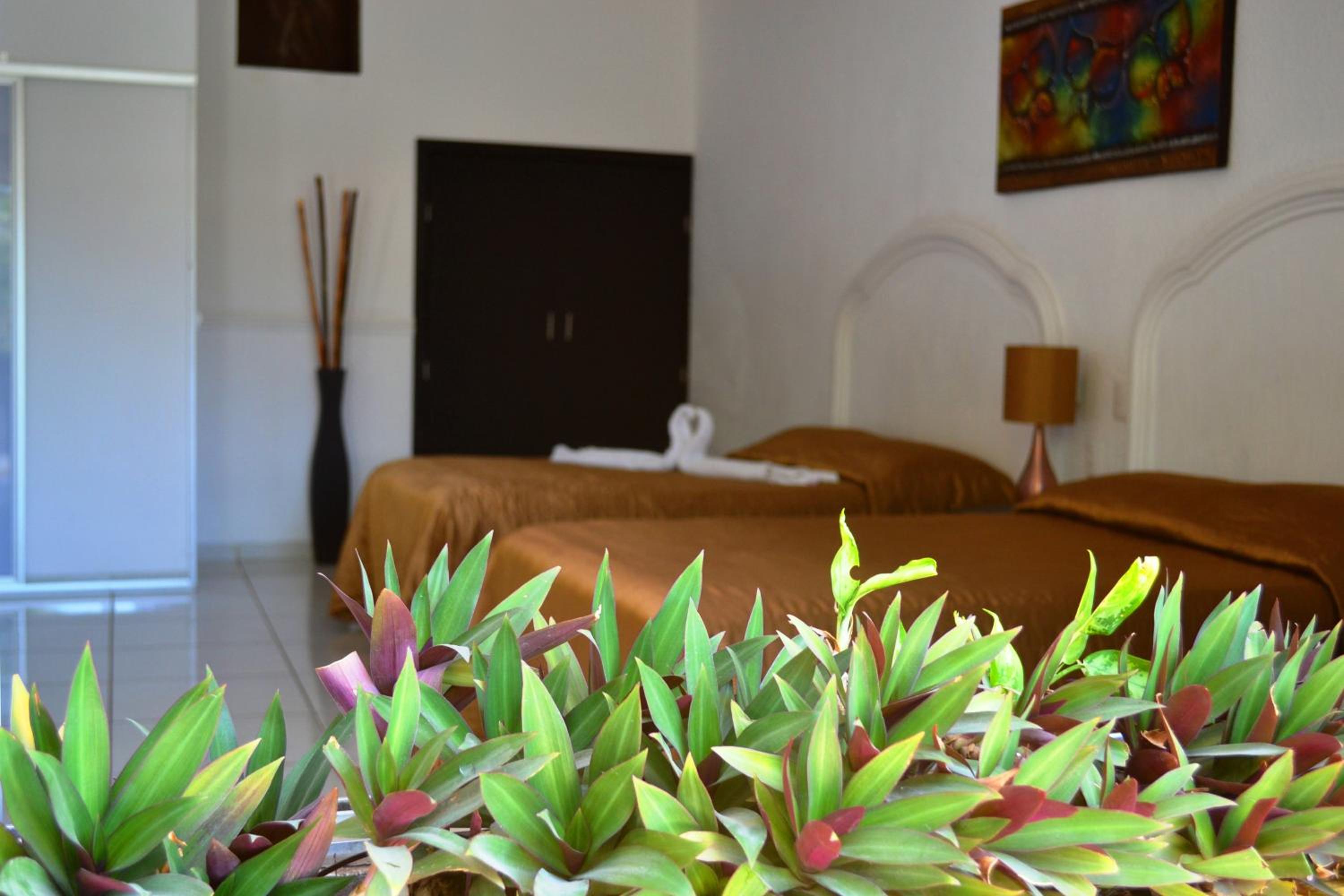 Double Room with Two Double Beds