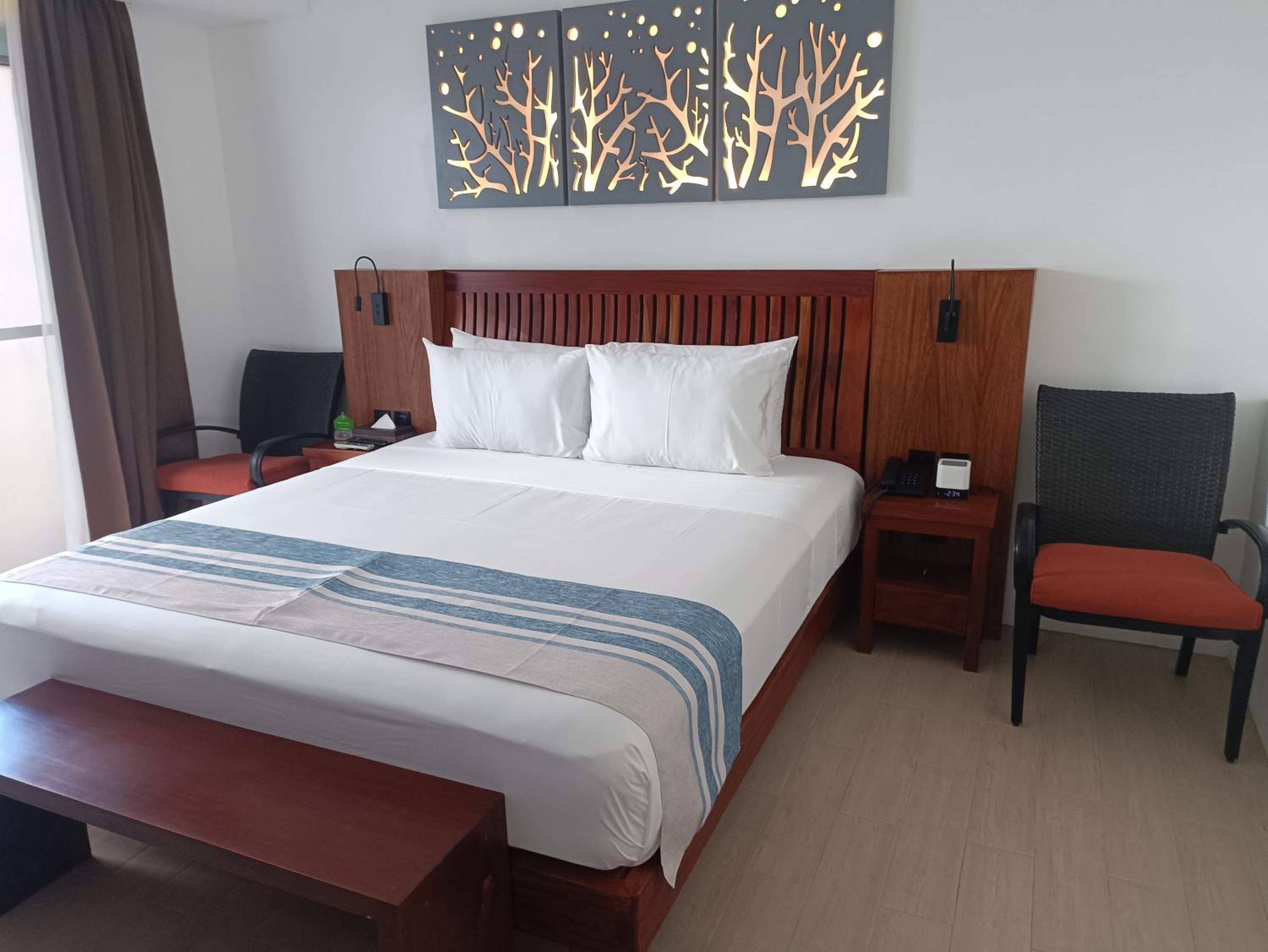 King Room - Photo 1