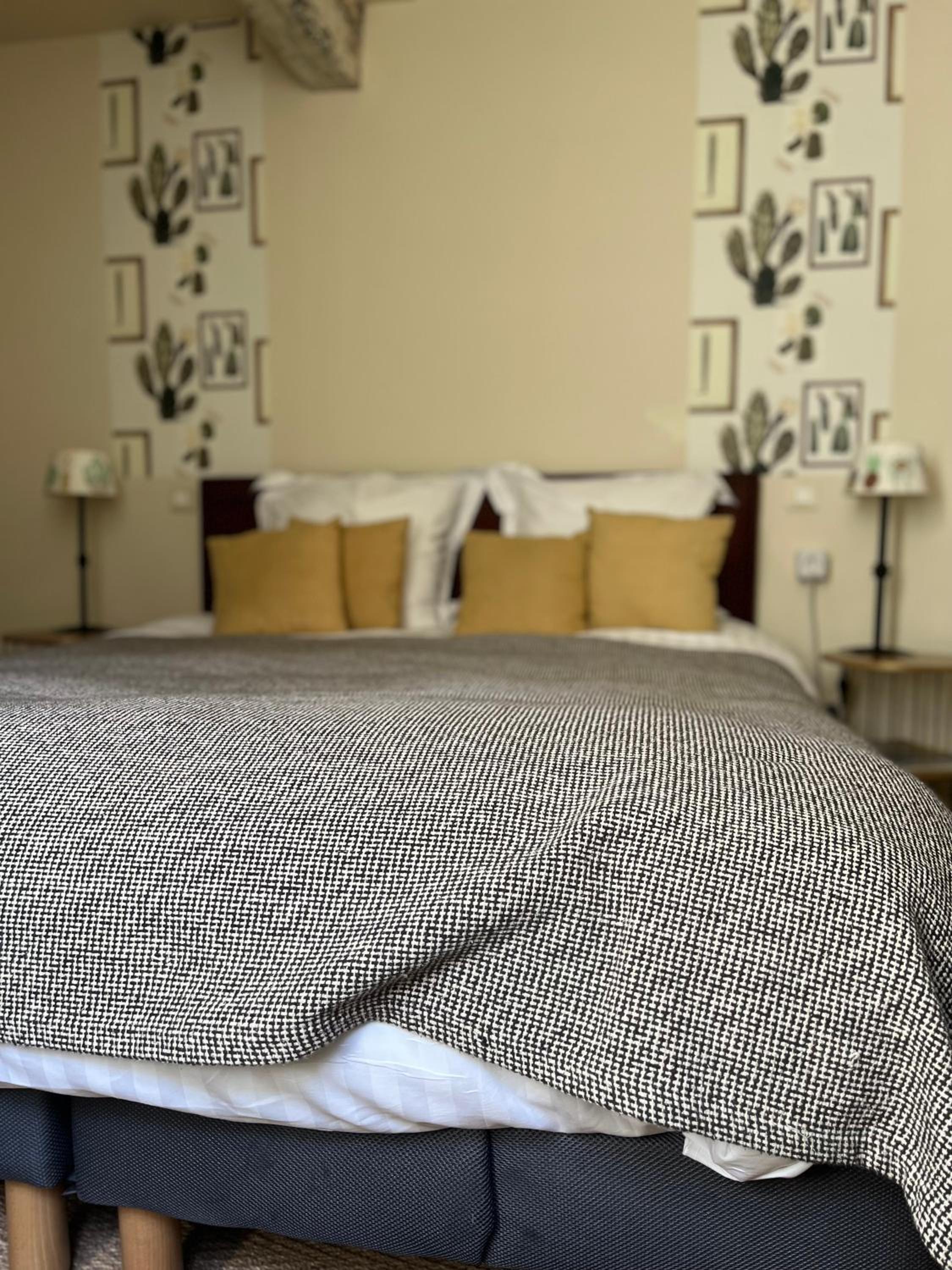 Classic Double Room photo 2