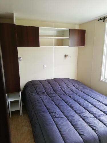 Mobile Home