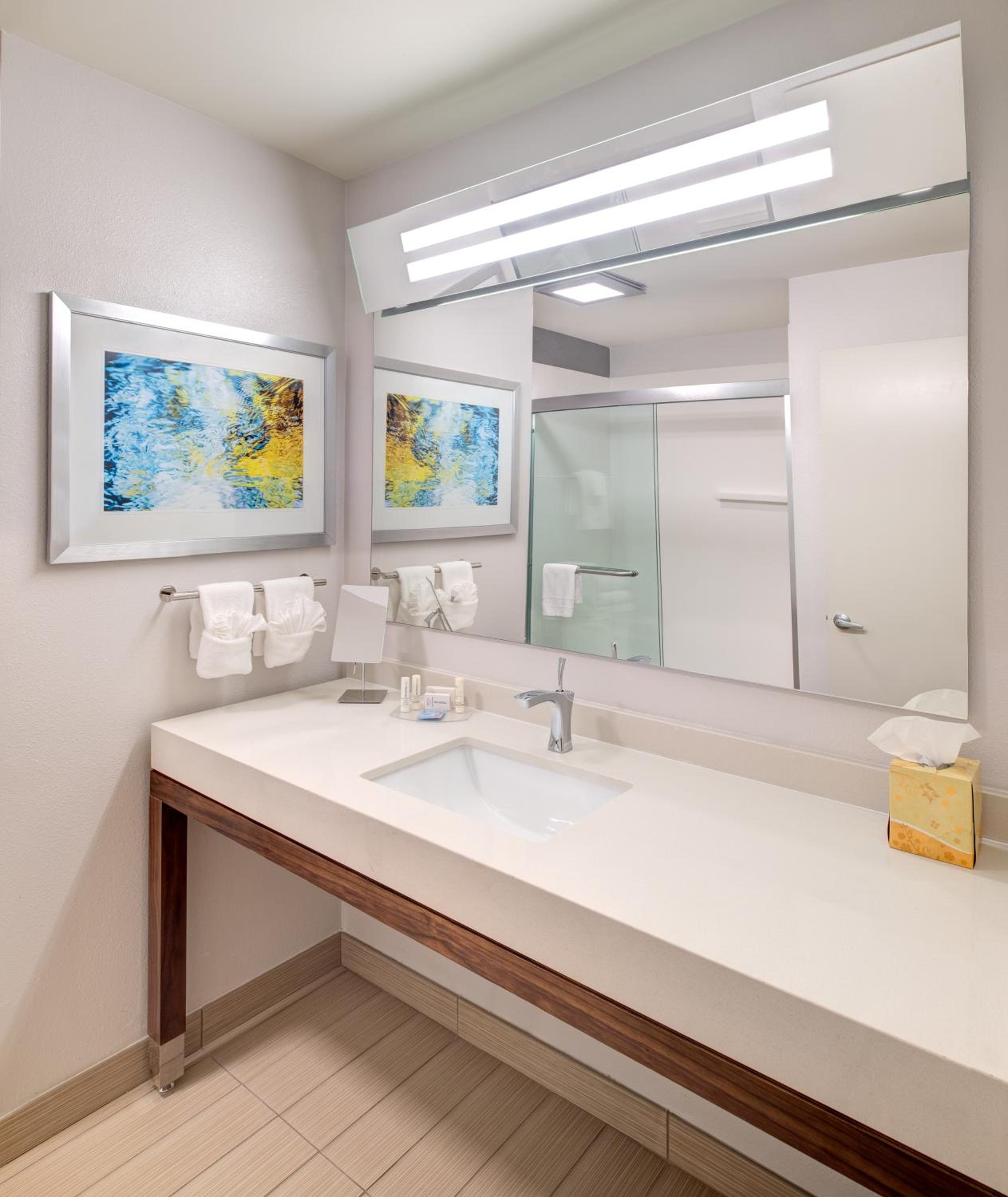 One-Bedroom King Suite - Photo 4