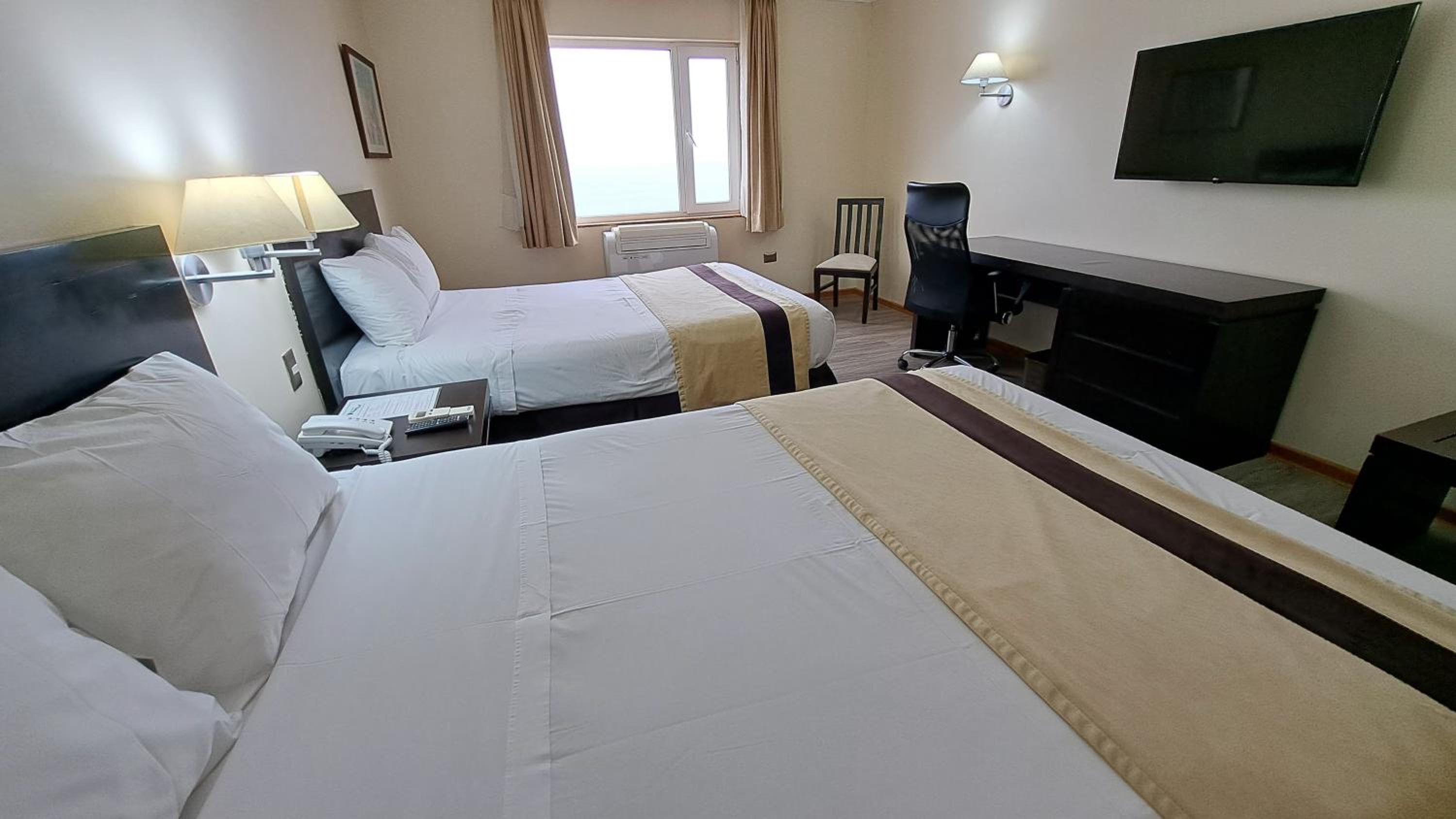 Twin Room with Sea View photo 1
