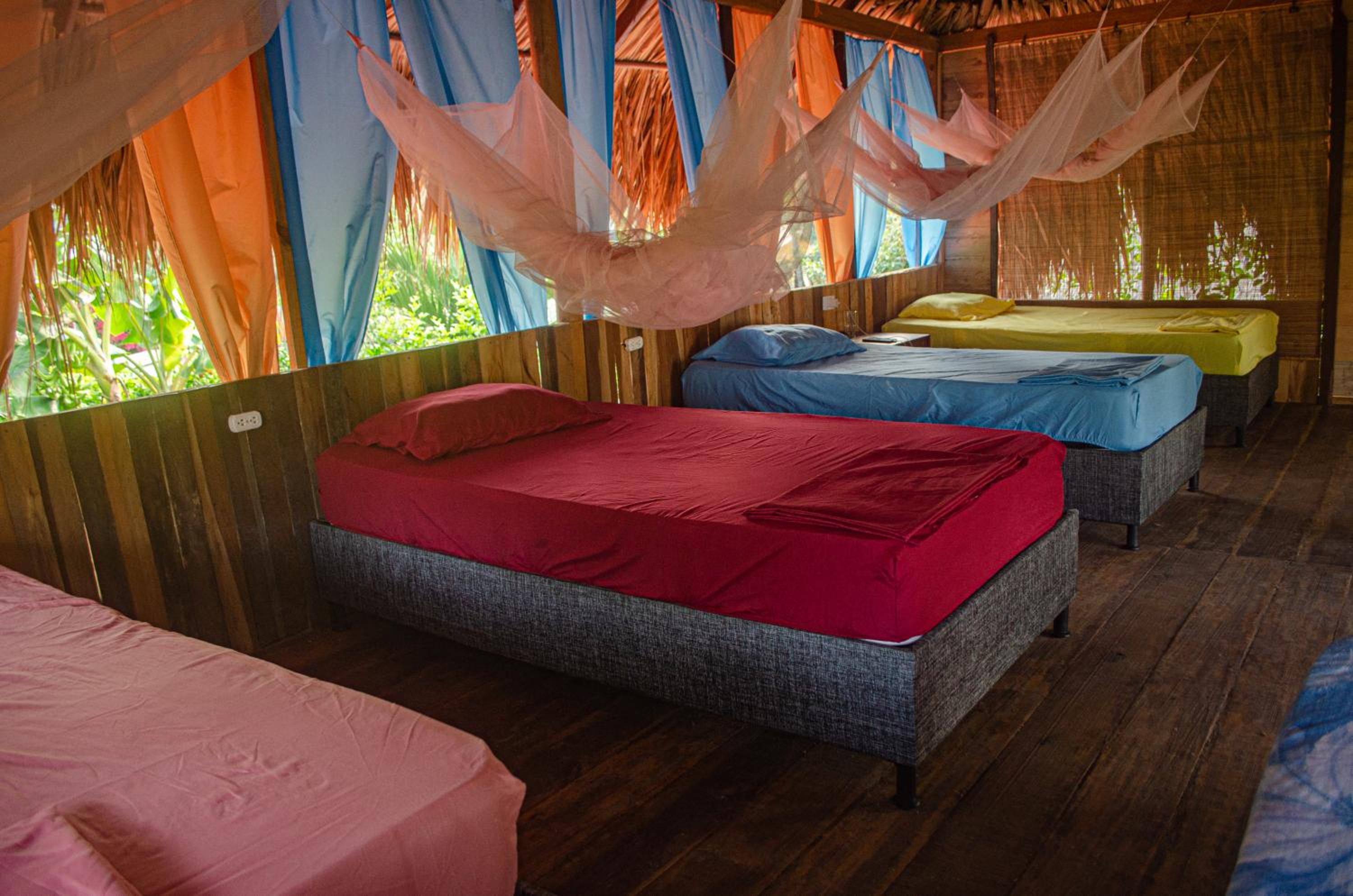 Single Bed in Dormitory Room photo 1