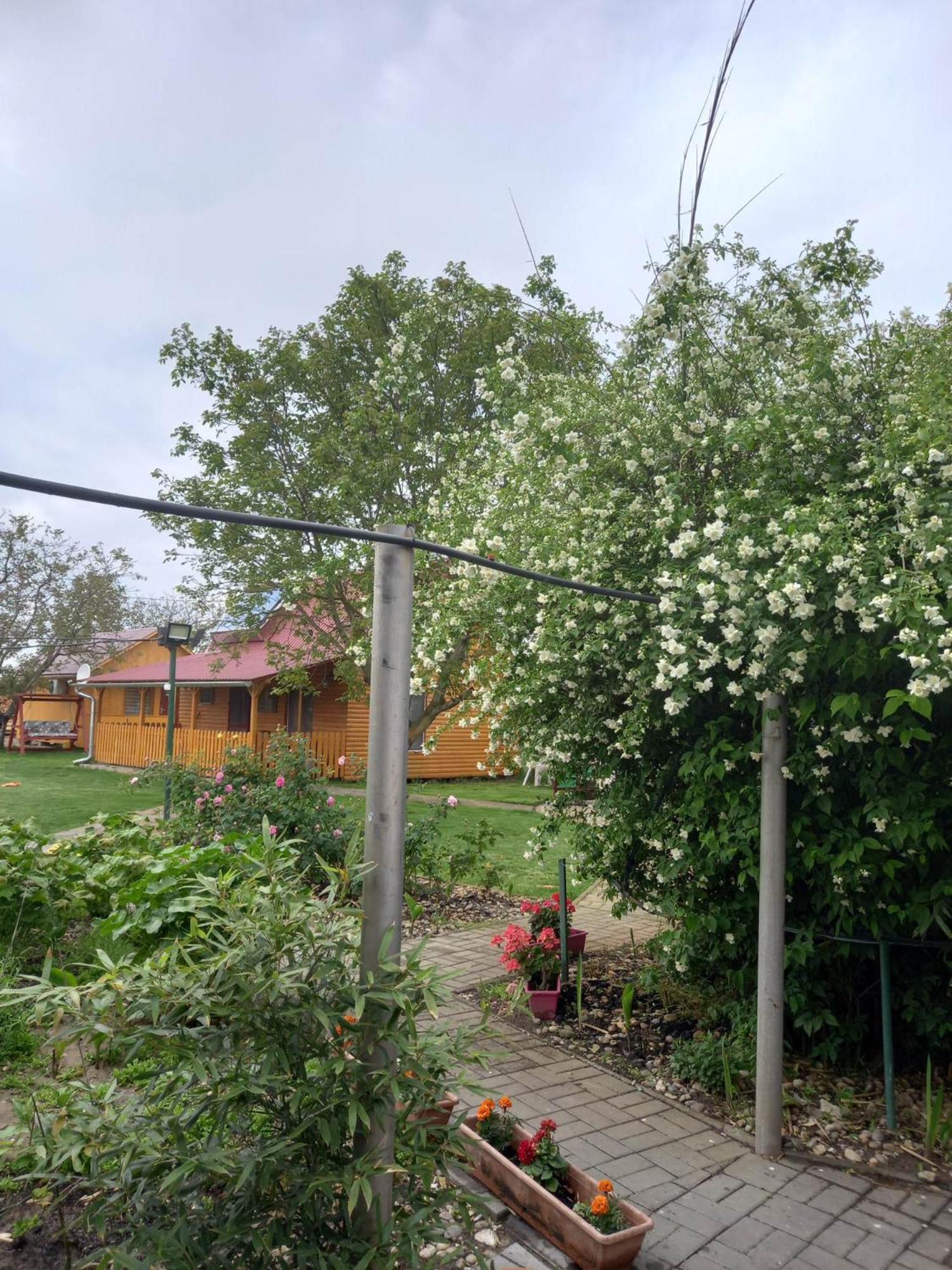 Twin Room with Garden View - Photo 2