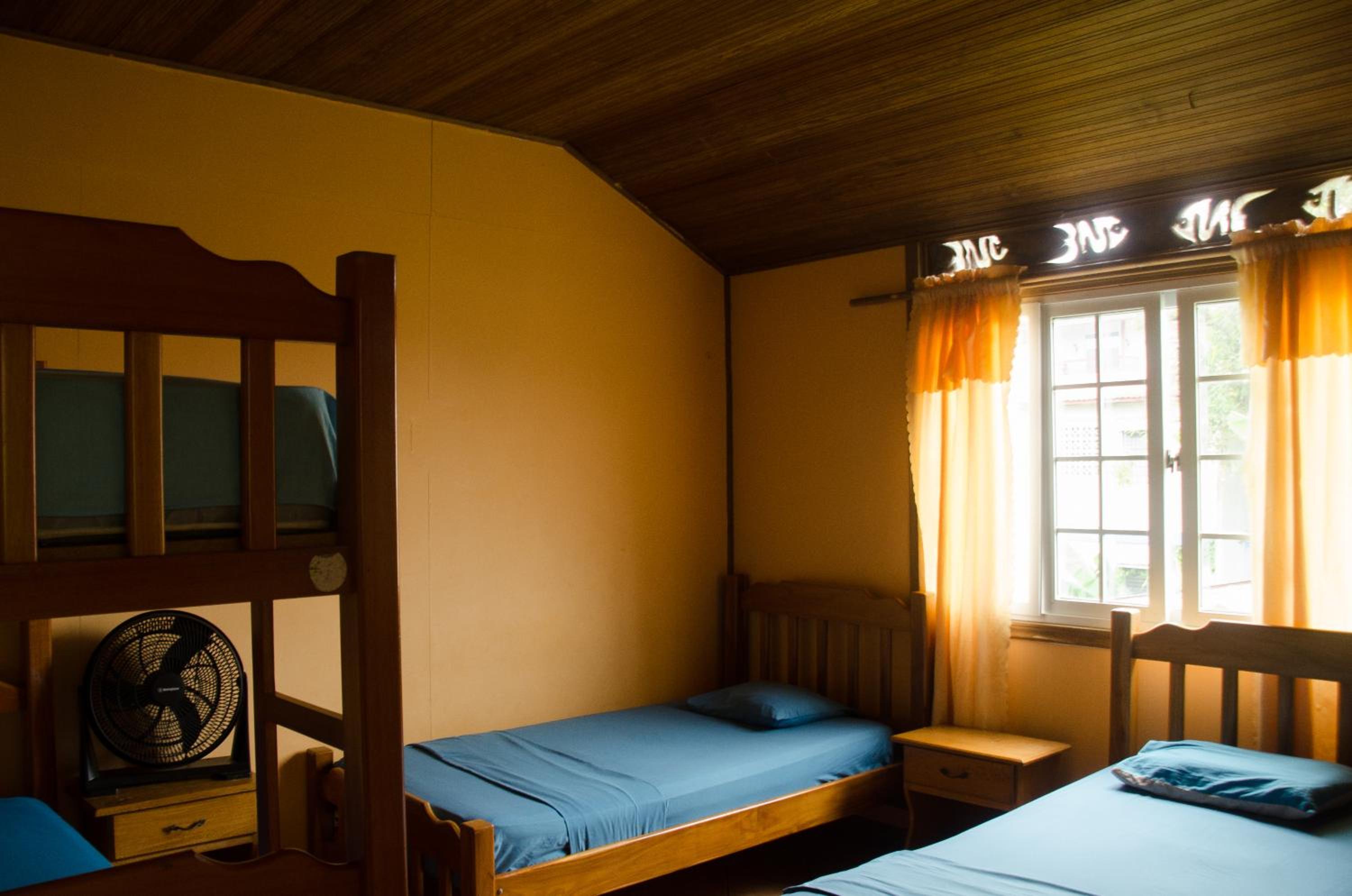 Bed in 4-Bed Dormitory Room photo 3