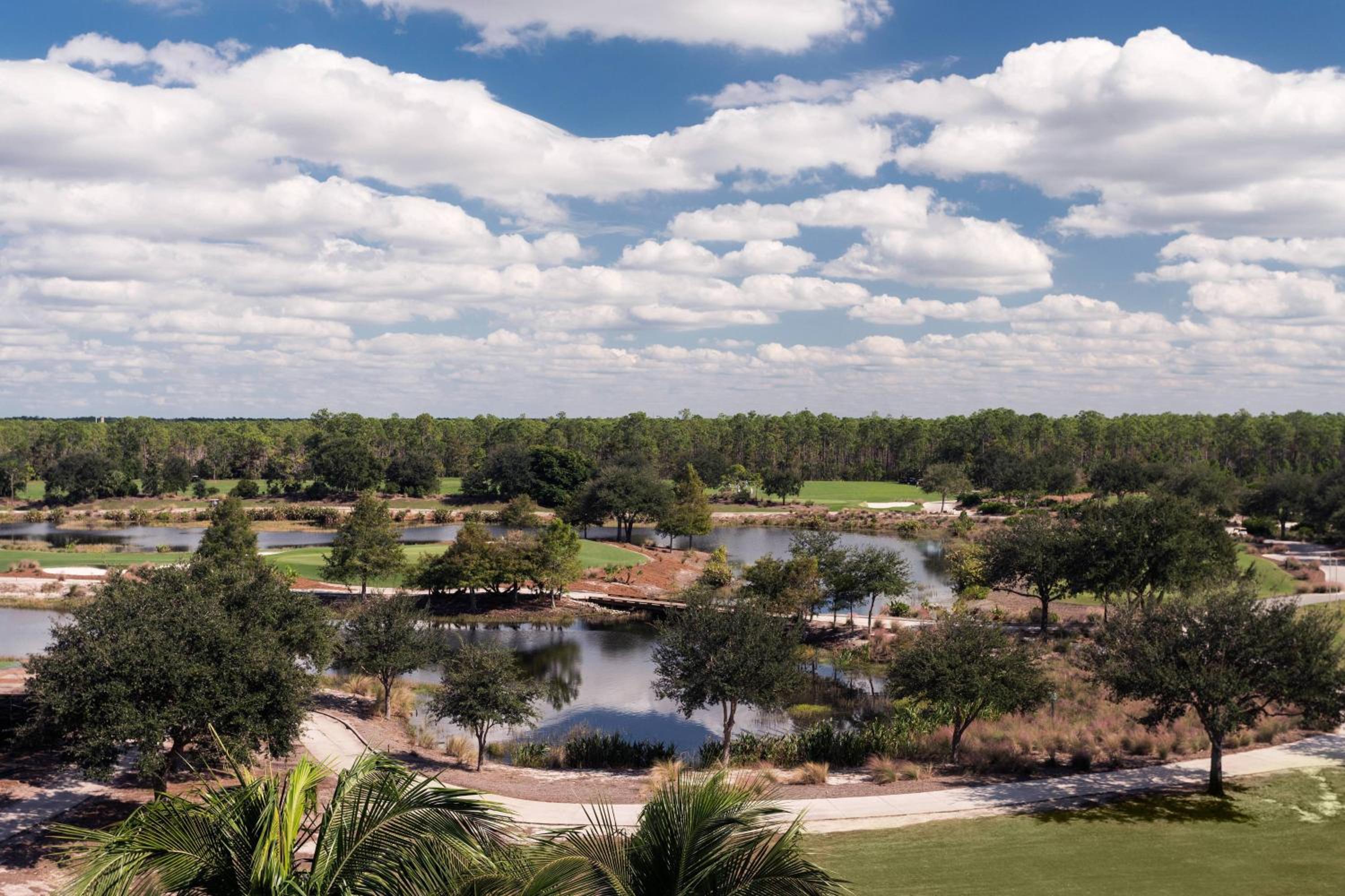 Golf View King  - Photo 5