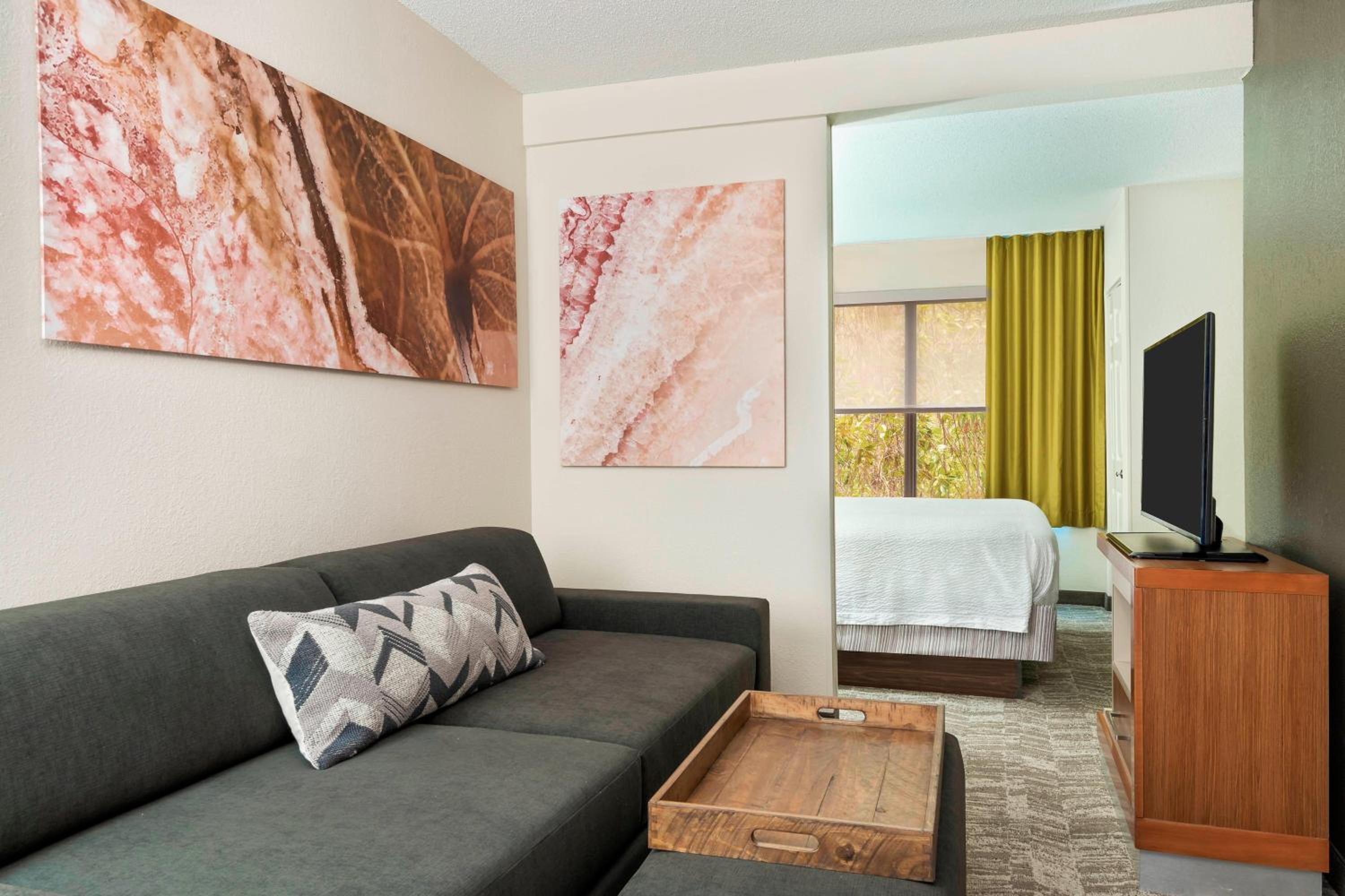 King Suite with Sofa Bed - Photo 1