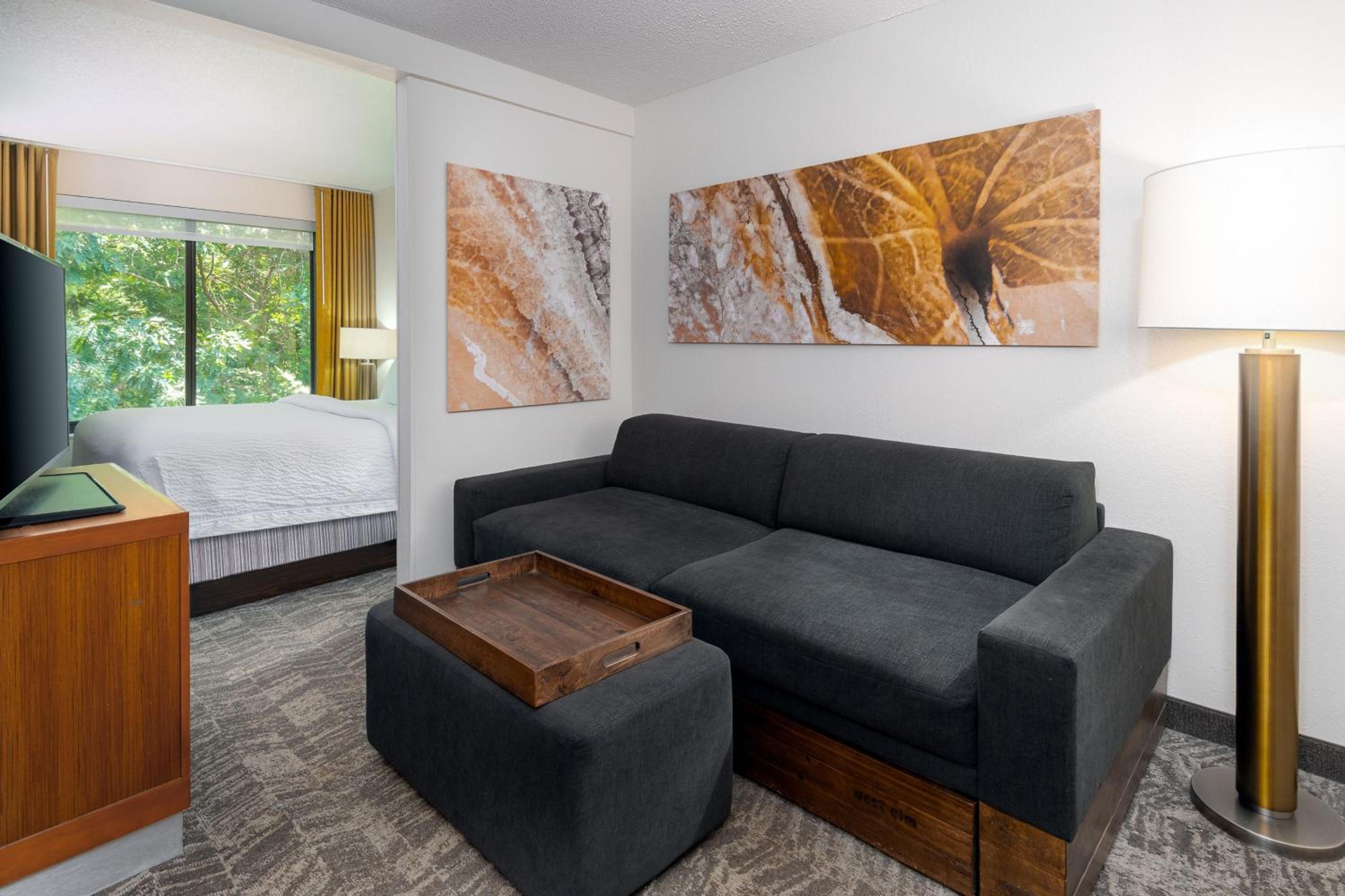 King Suite with Sofa Bed - Photo 2
