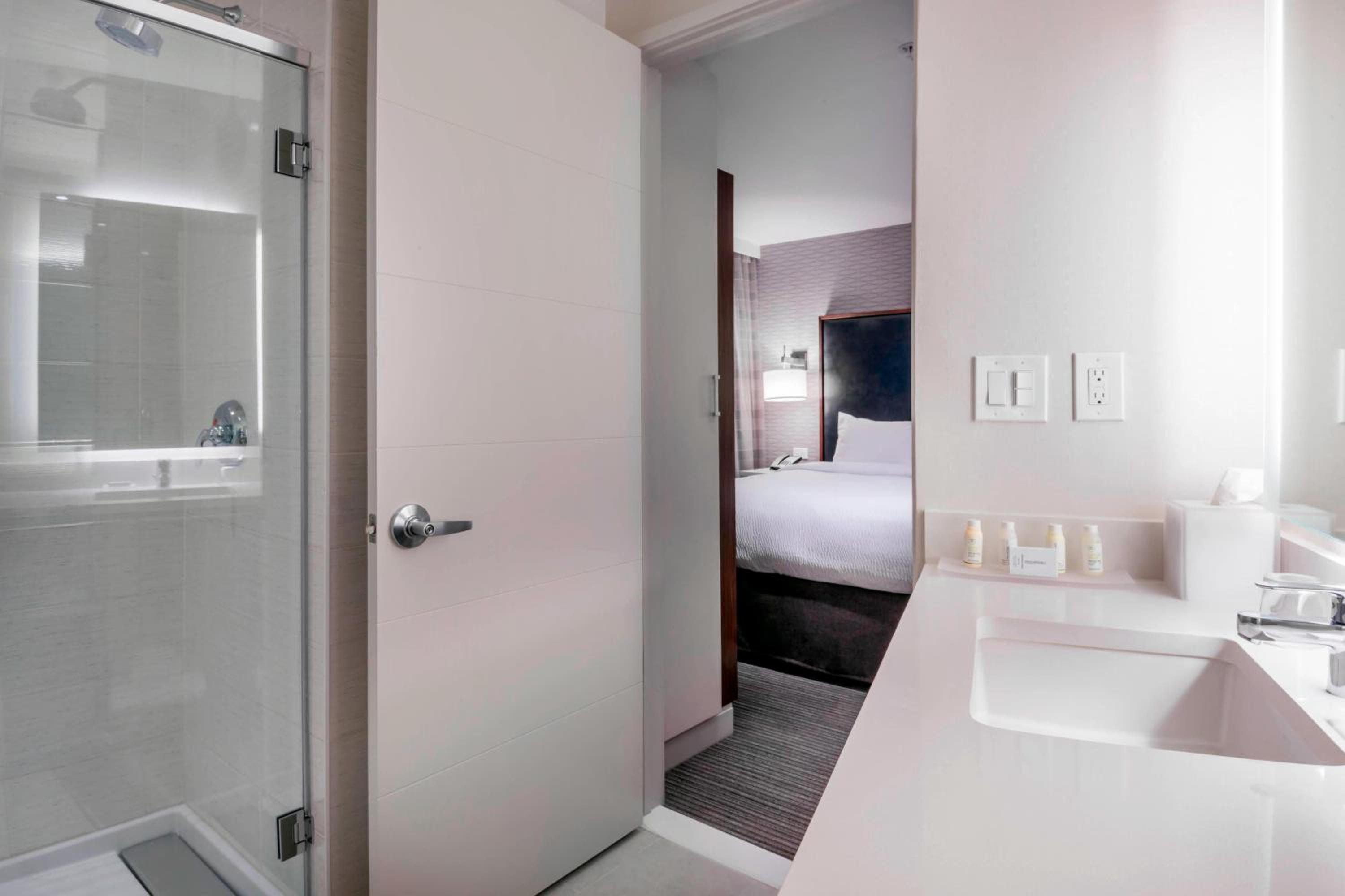 Deluxe One-Bedroom King Suite with Sofa Bed photo 3