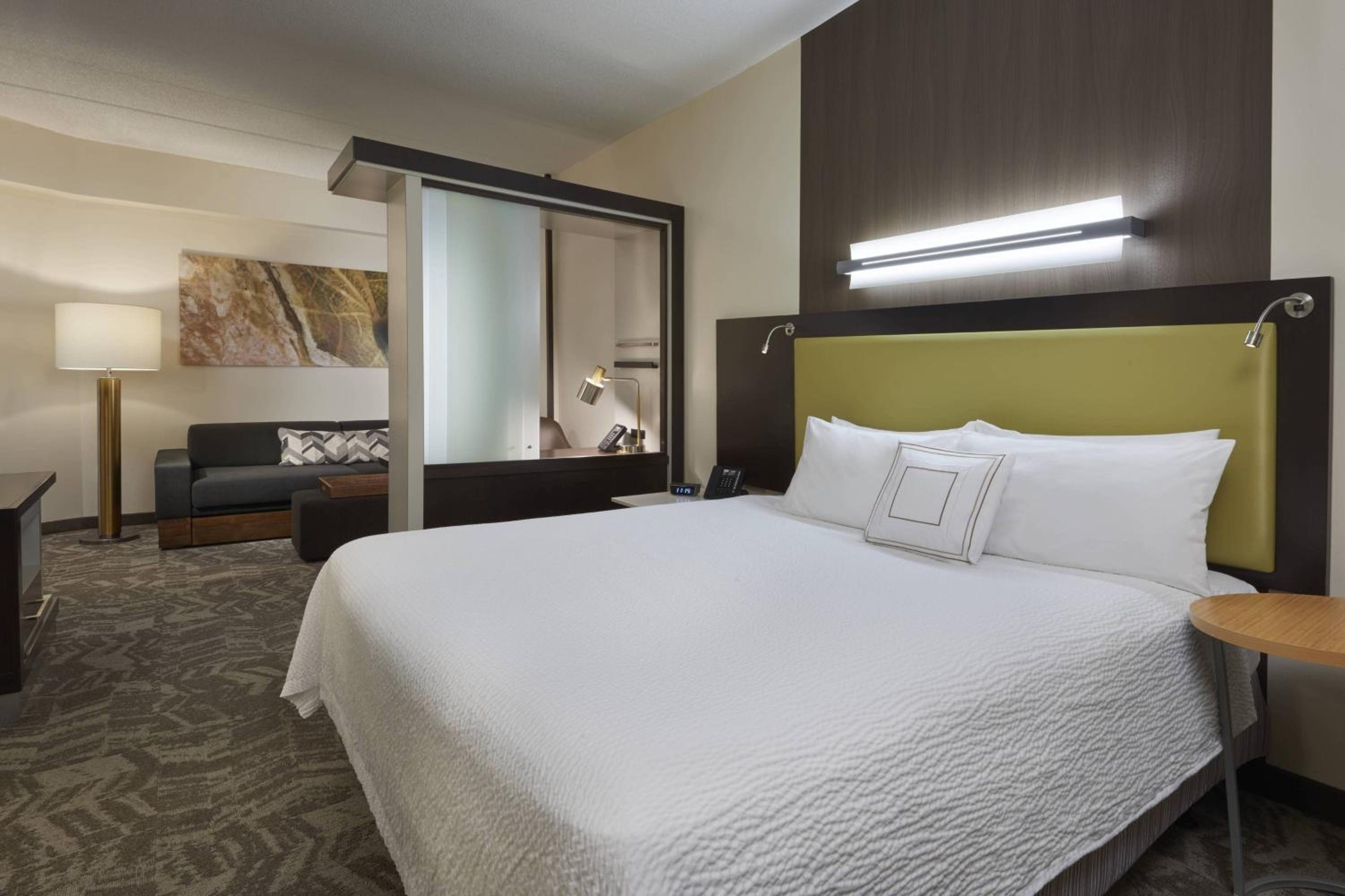 King Suite - Photo 5