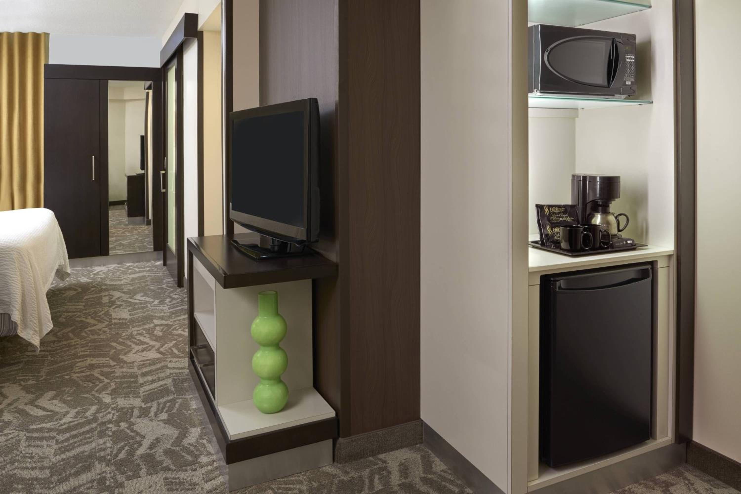 King Suite - Photo 6