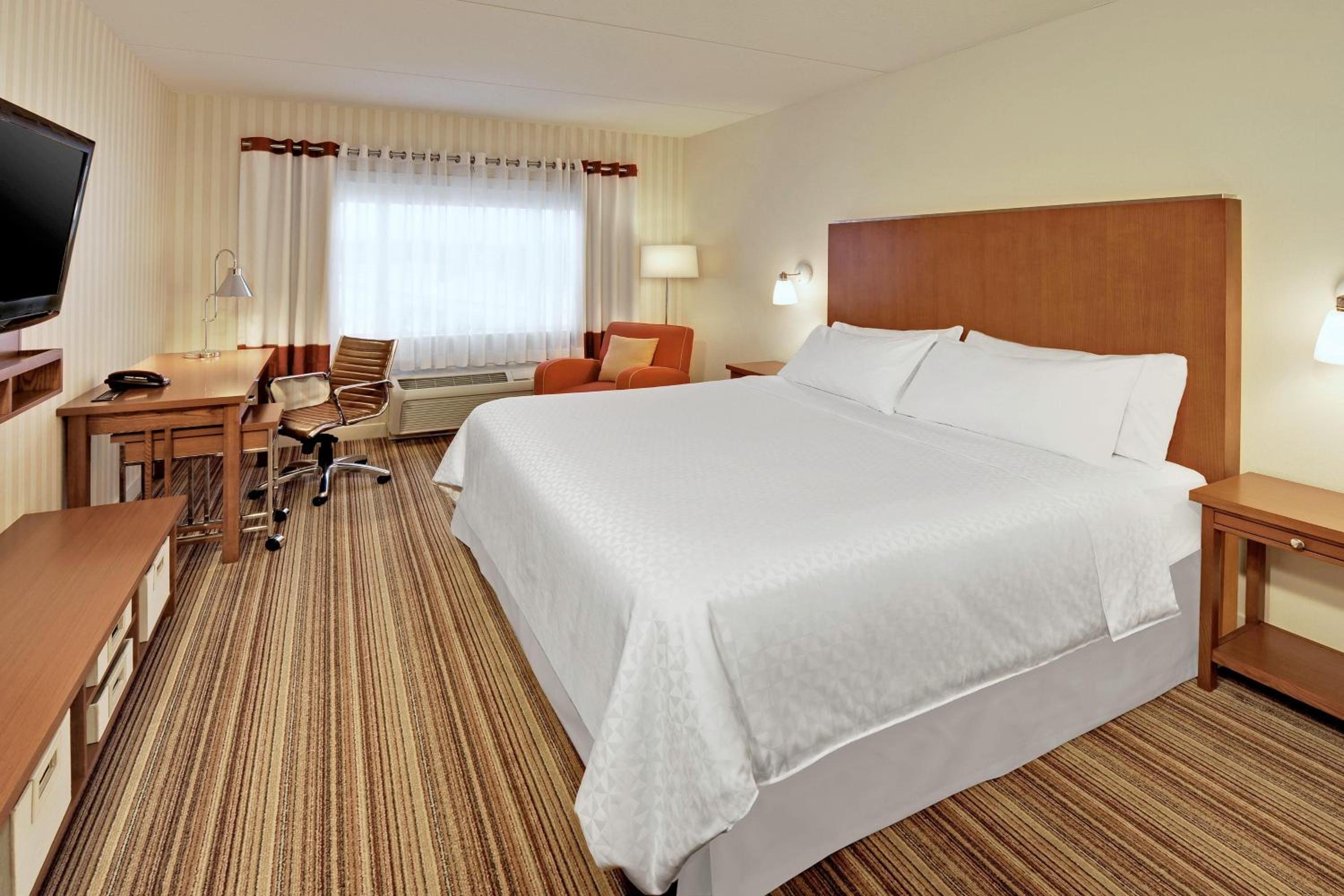 King Suite with Sofa Bed