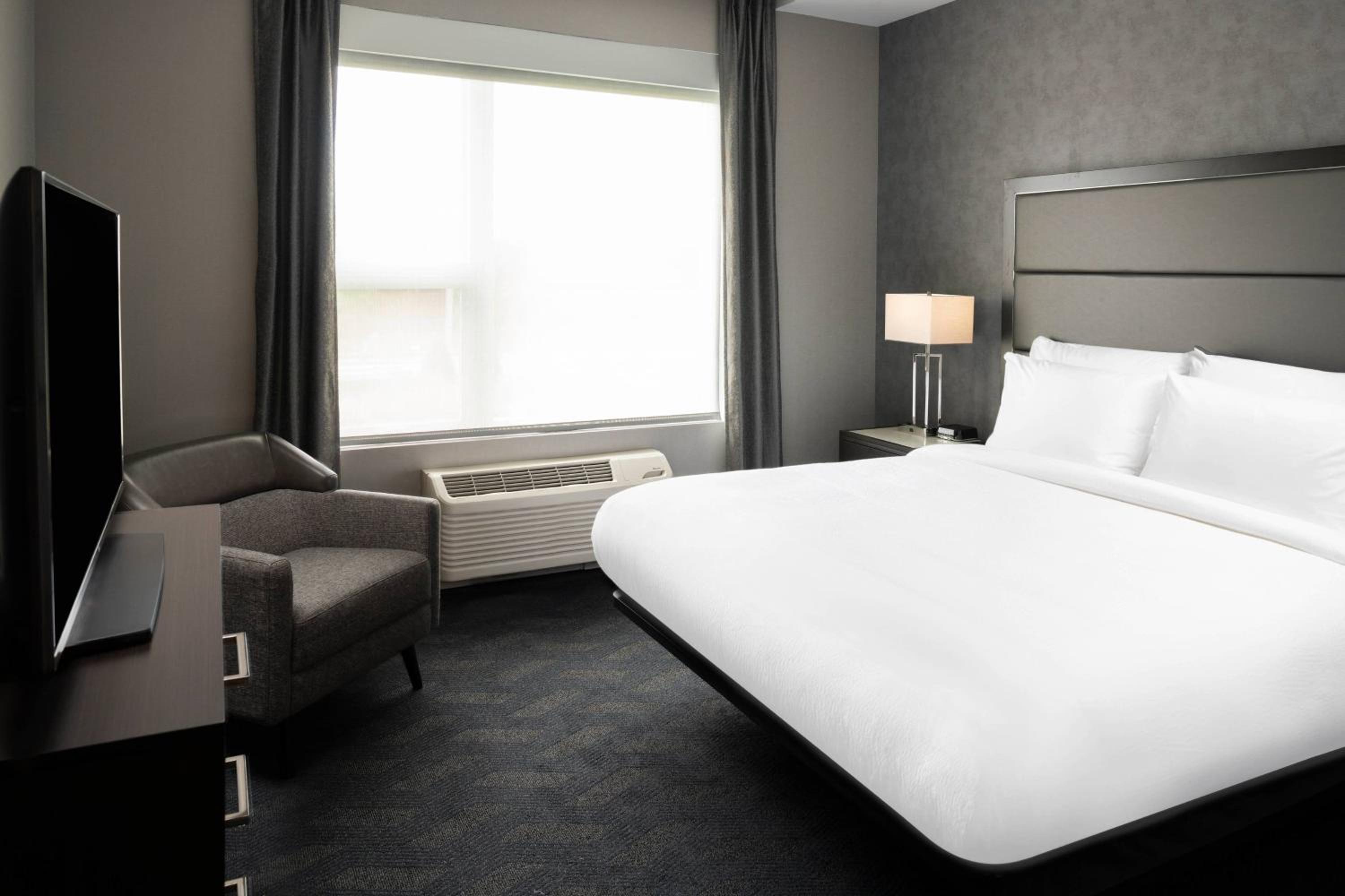 1 Bedroom Larger Suite, 1 King, Sofa bed