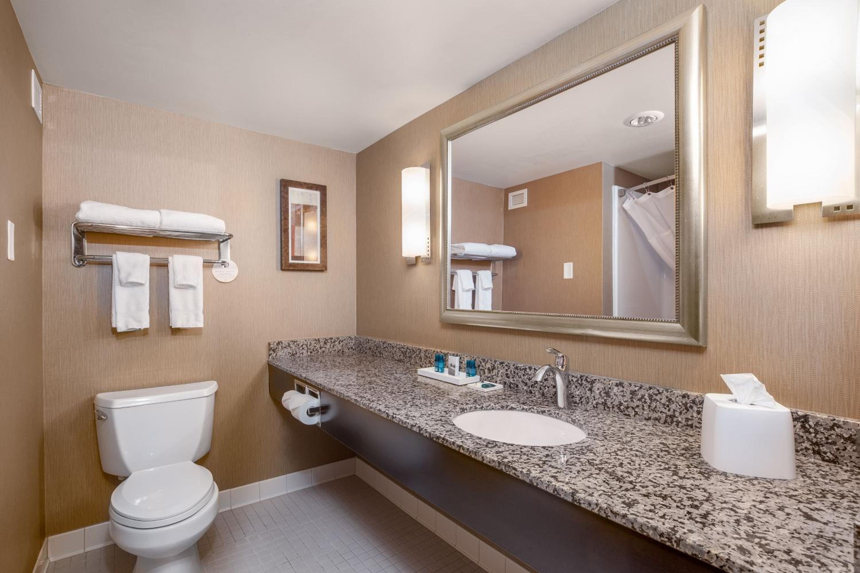 King Suite with Sofa Bed - Photo 2