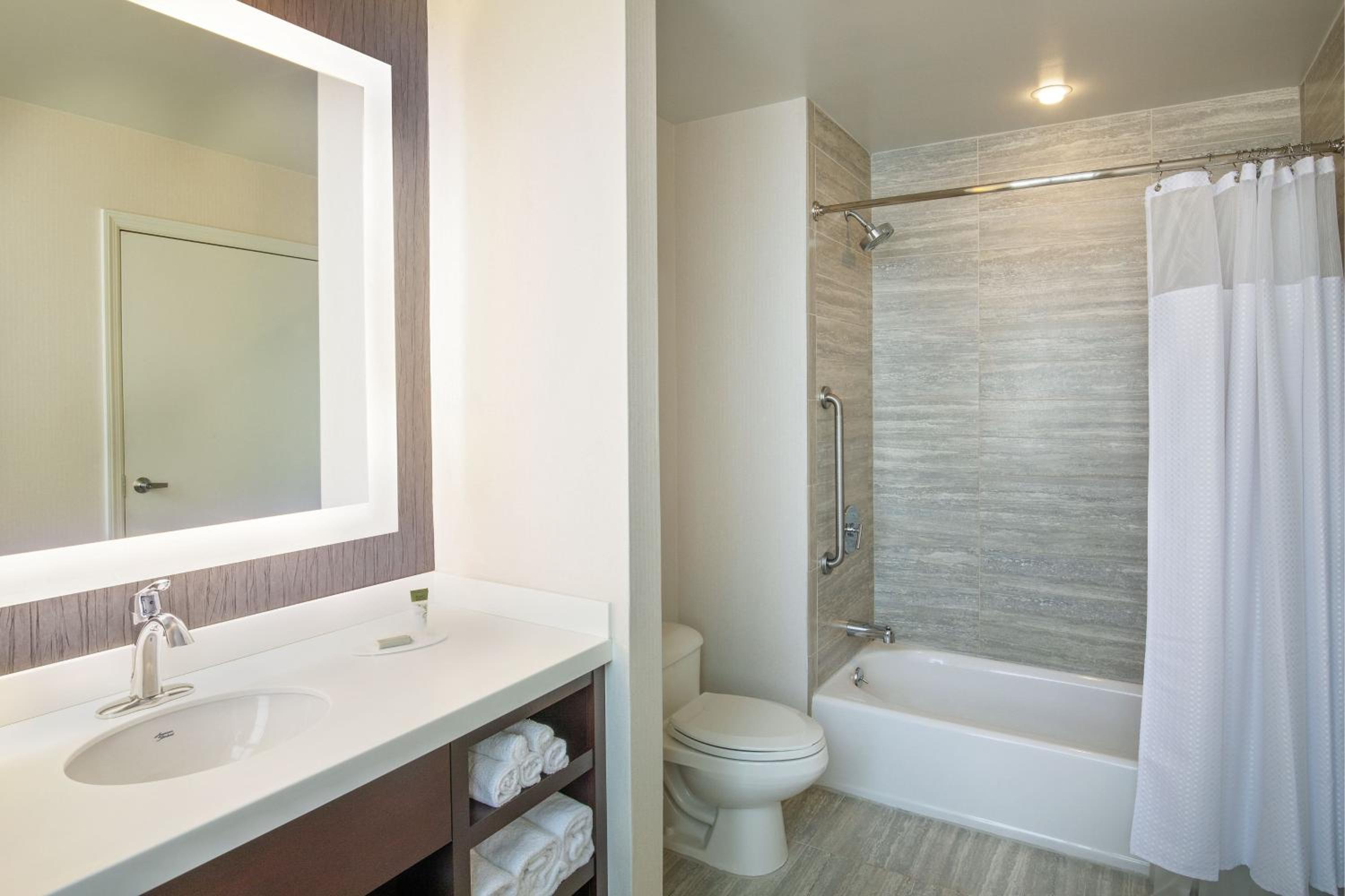 Tremont King Room, Mobility & Hearing Access with Roll-In Shower