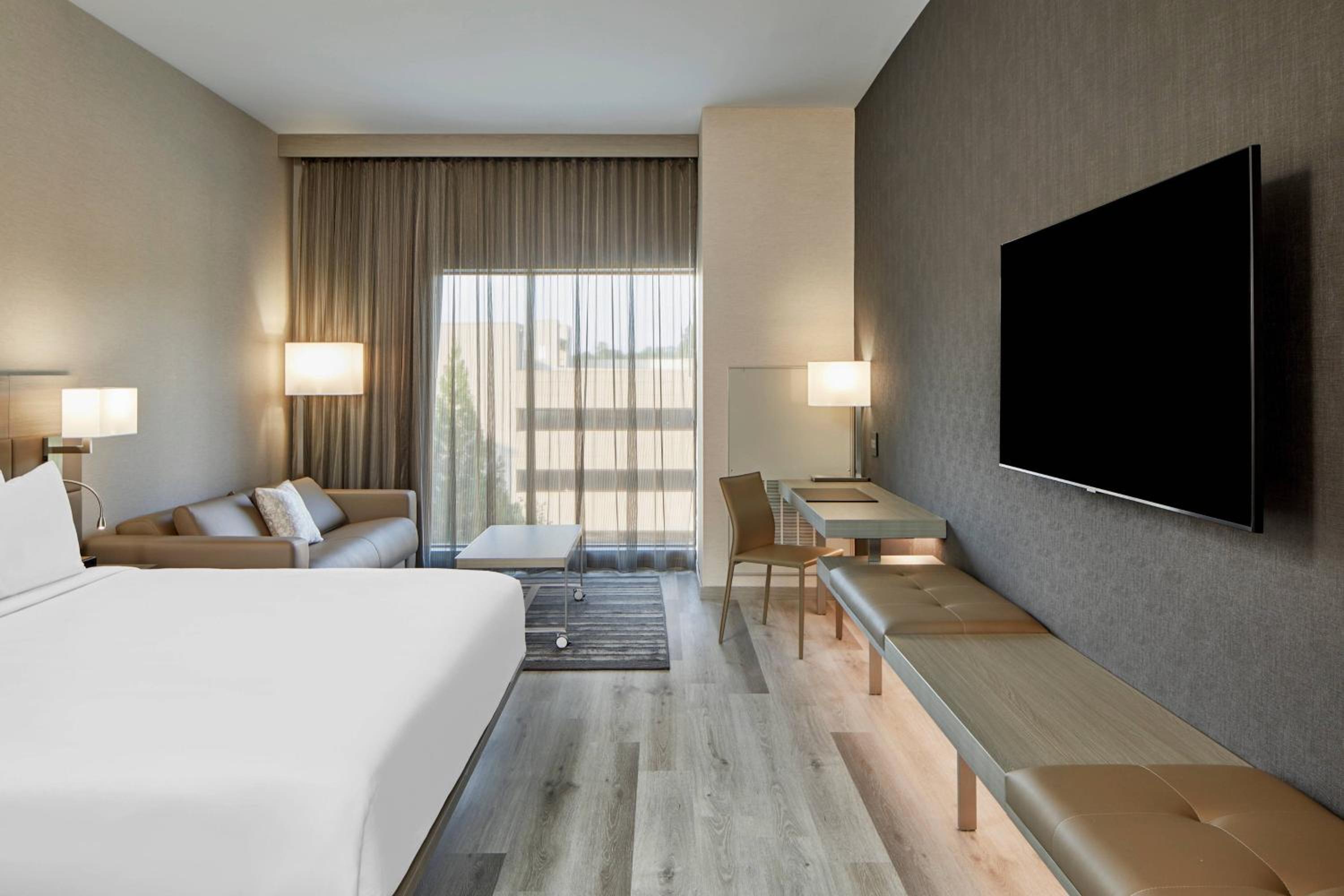 Large King Room with Sofa Bed - Hearing Accessible