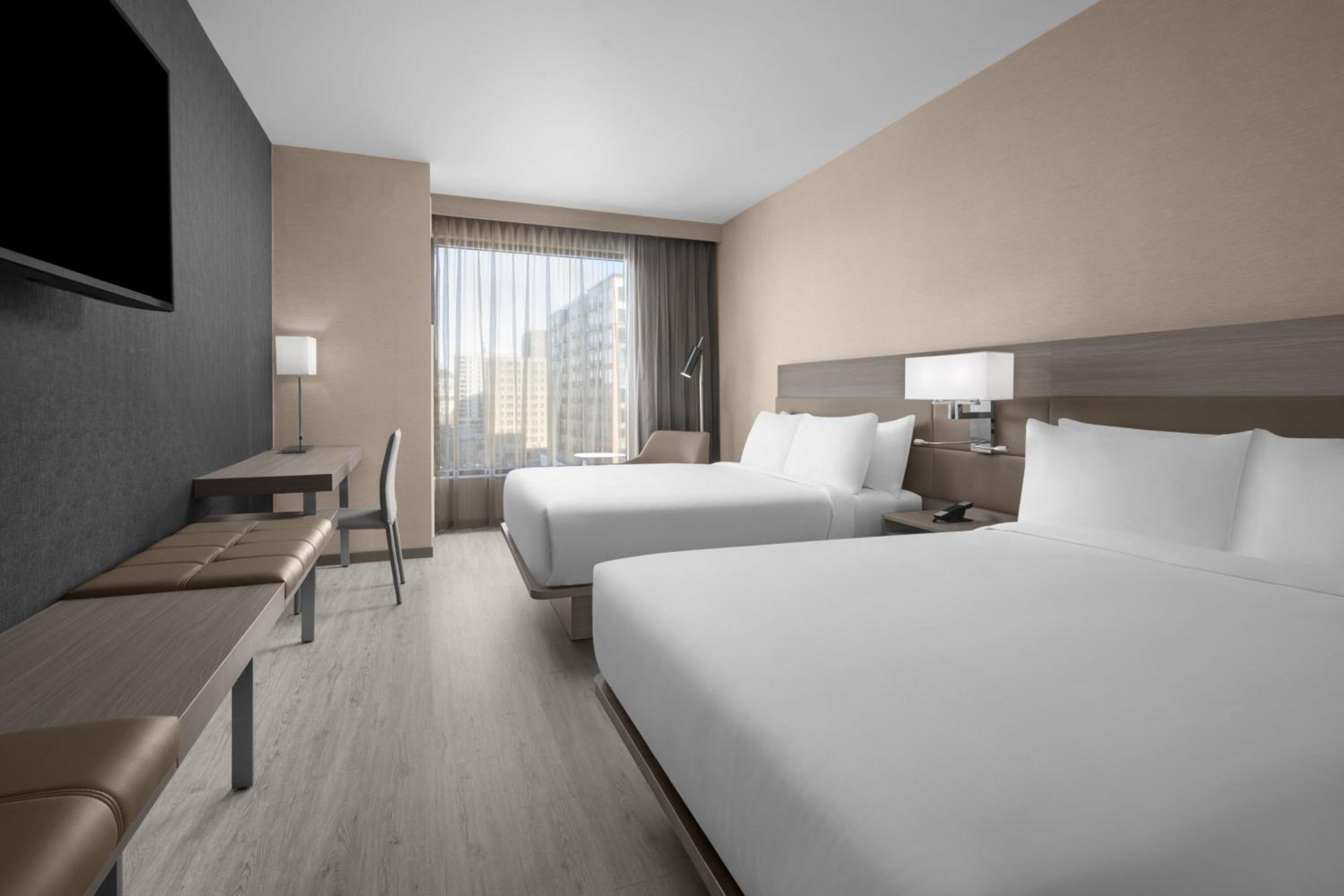 King Room - Photo 7