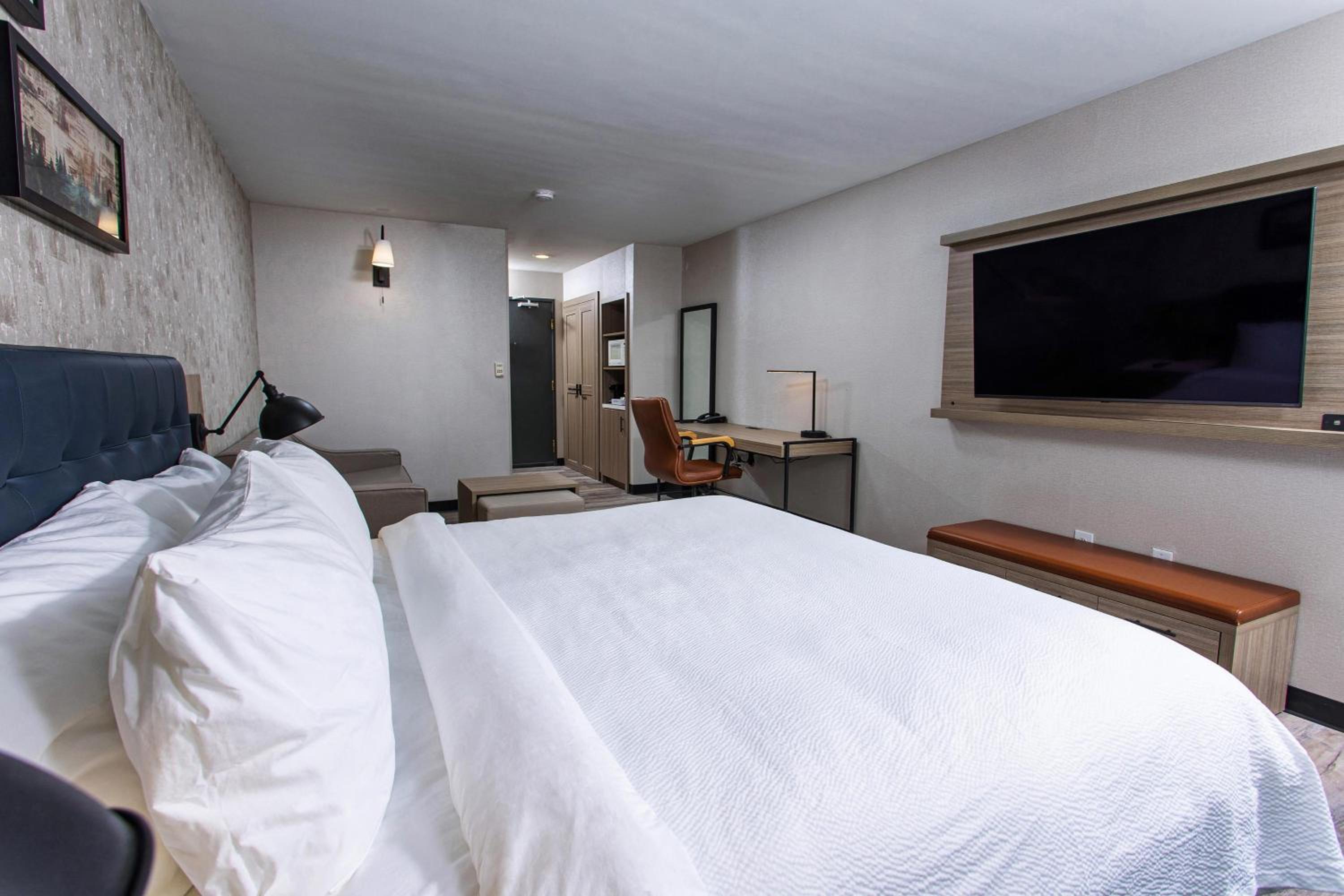 Traditional Guest Room with 1 King, Sofa bed - Photo 1