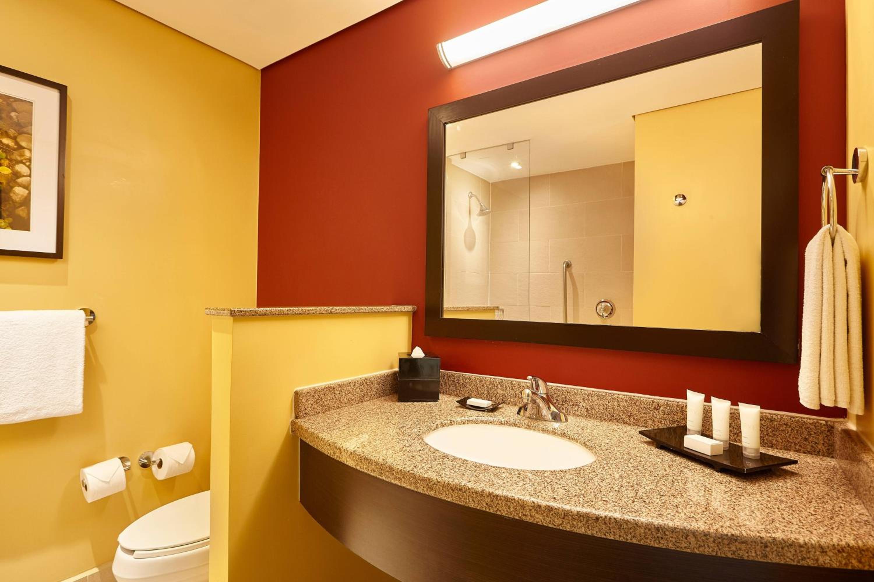 One-Bedroom King Suite photo 2