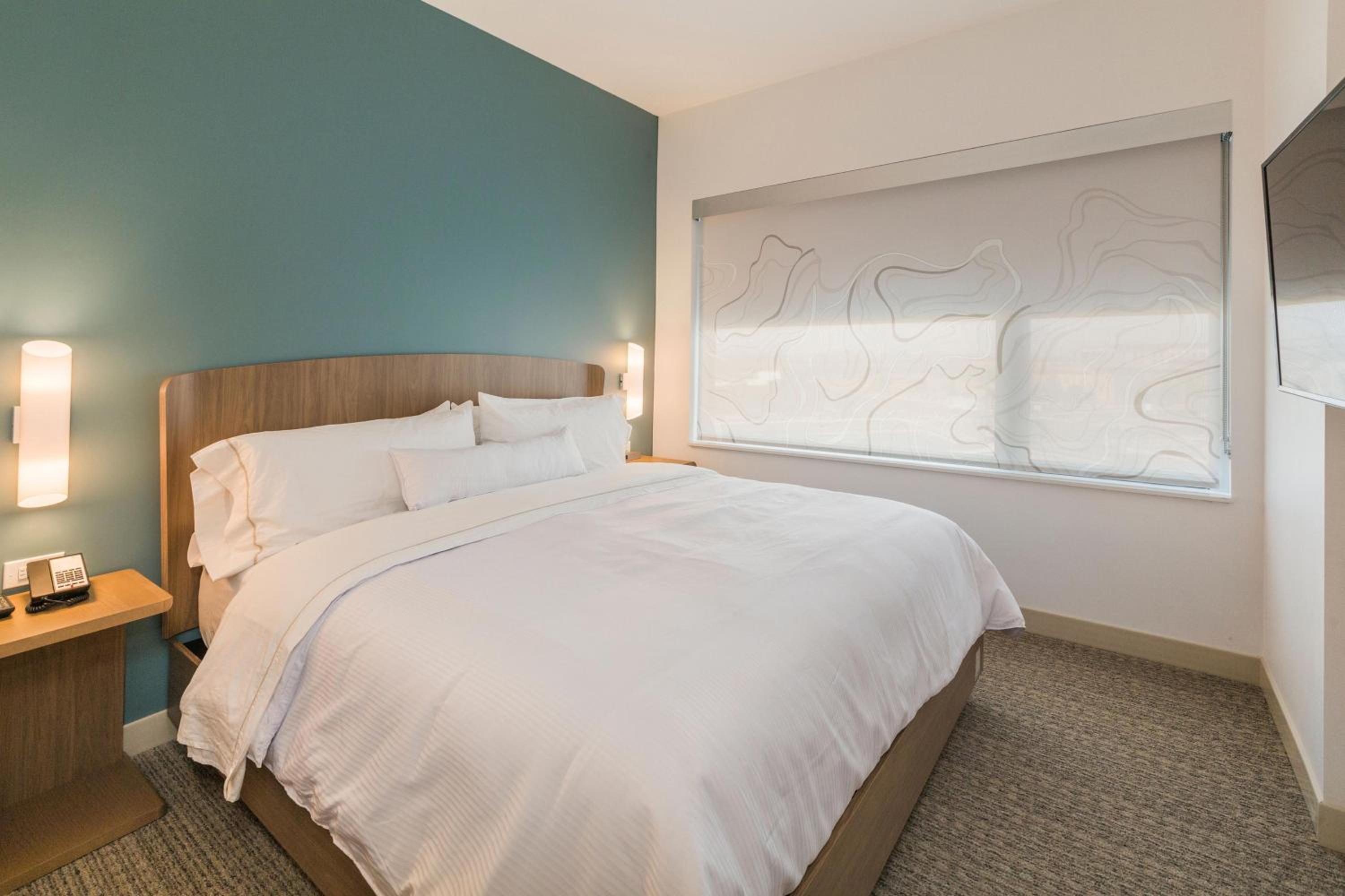 1 Bedroom Suite, 1 King, Sofa bed - Photo 1