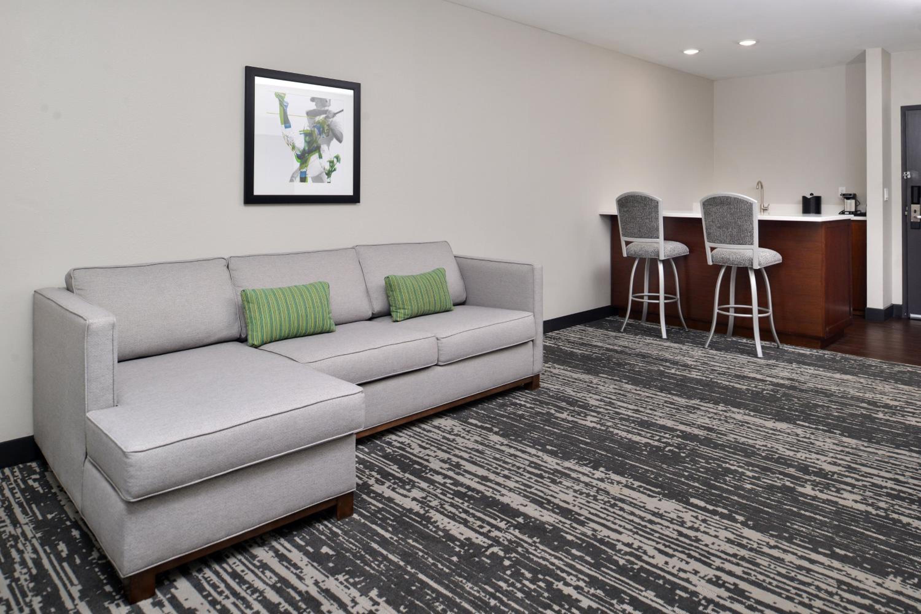 Executive Suite, 1 King, Sofa Bed