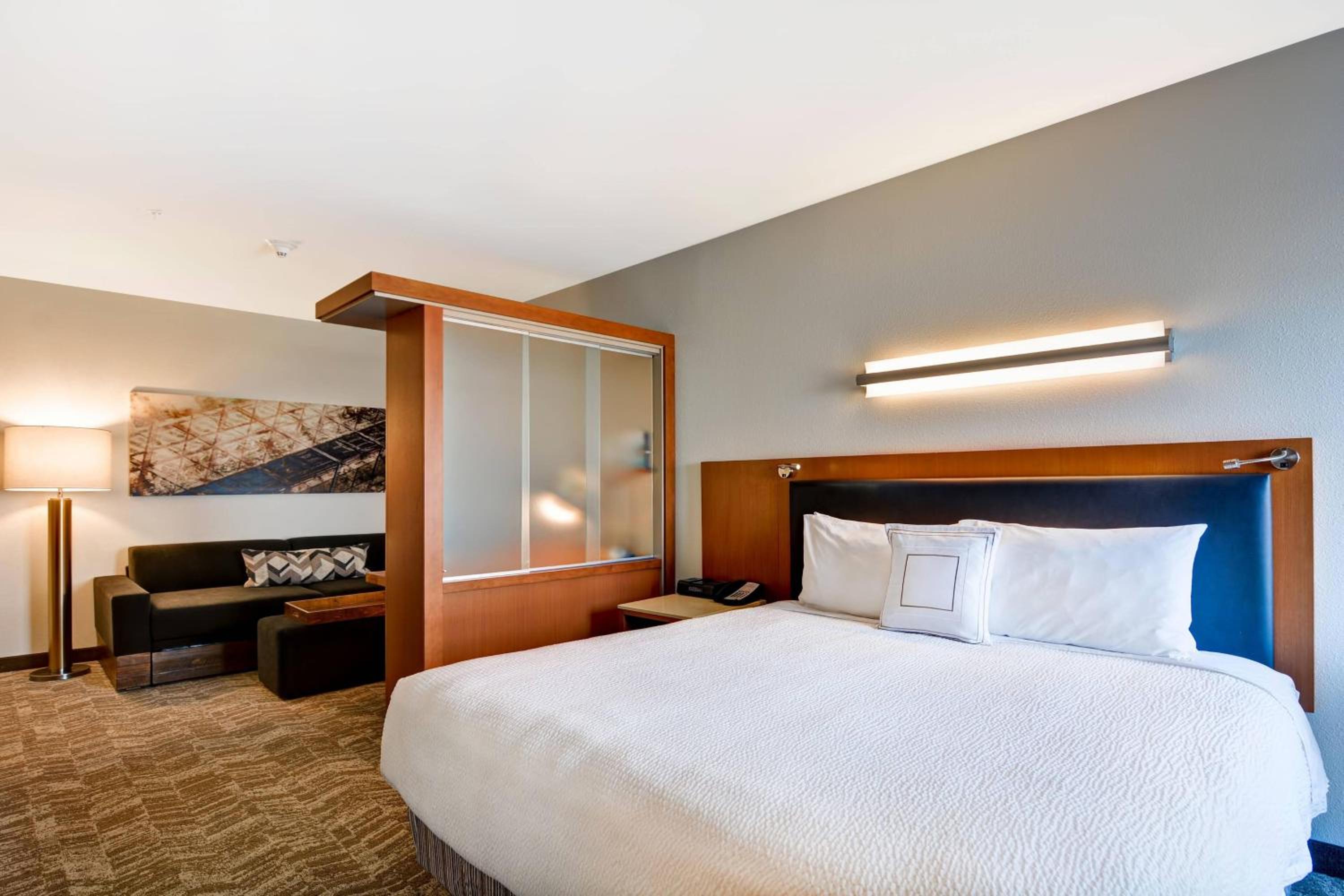 King Suite with Sofa Bed - Photo 3