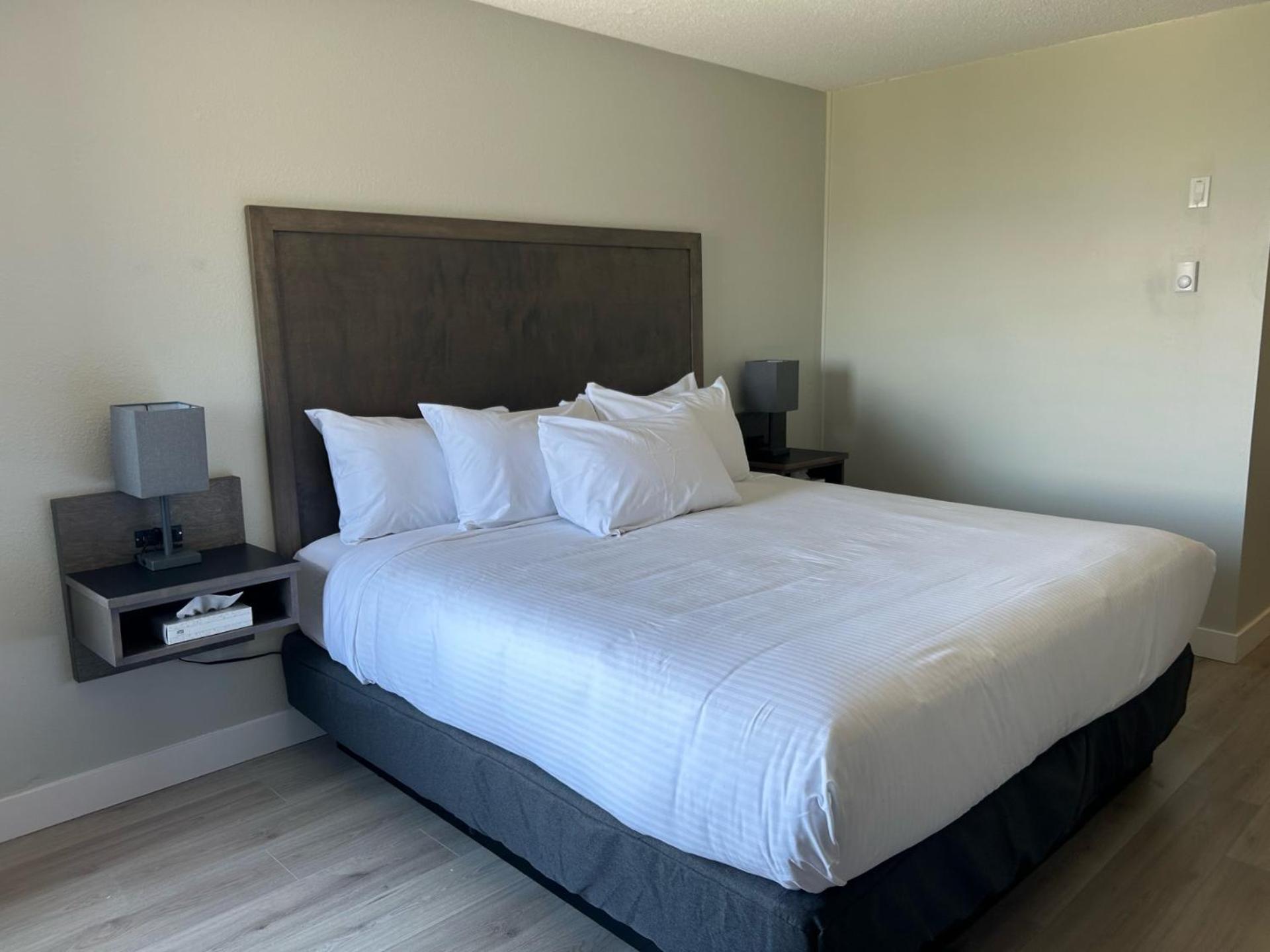 King Room - Photo 3
