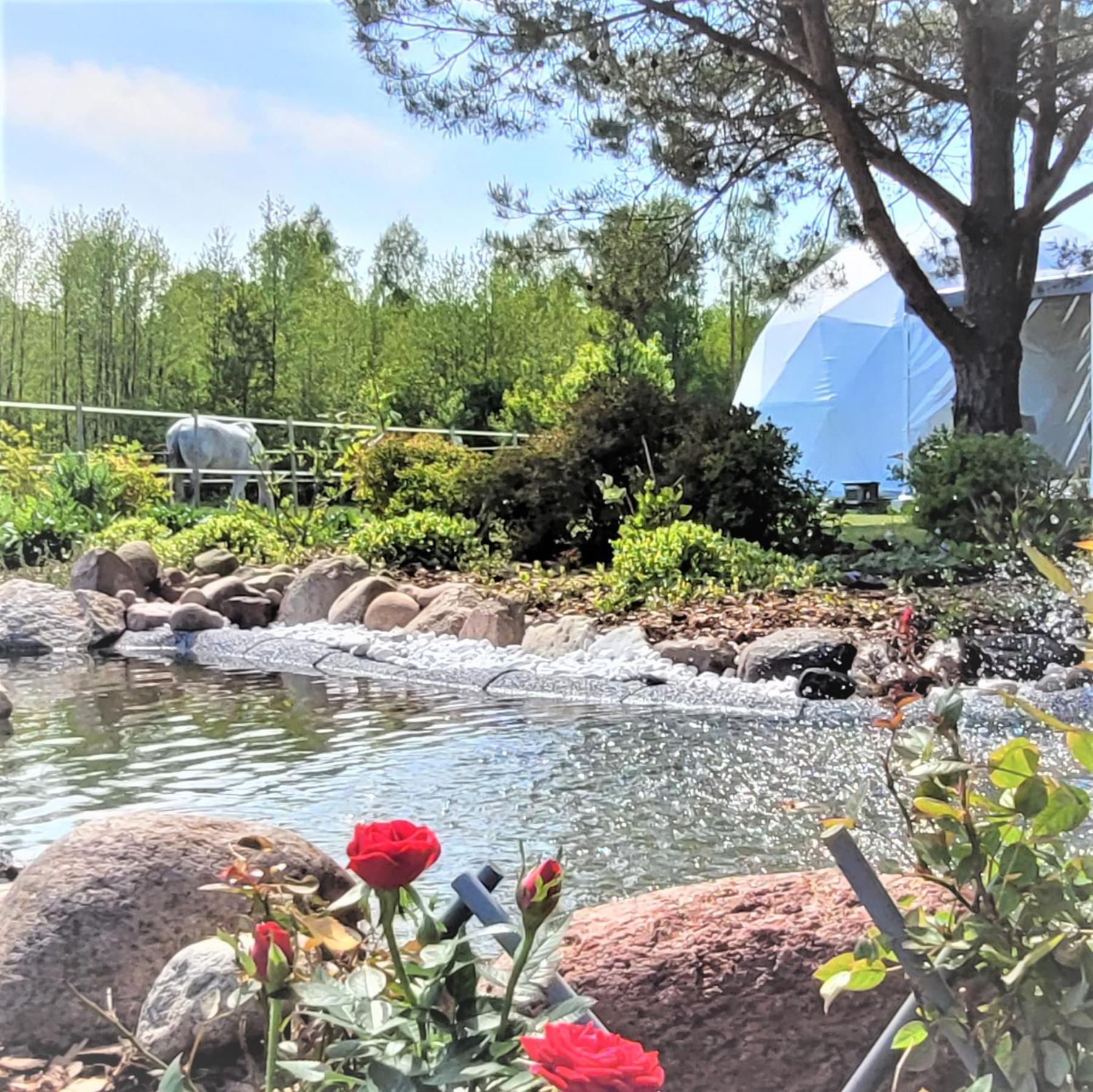 Tent - Photo 14