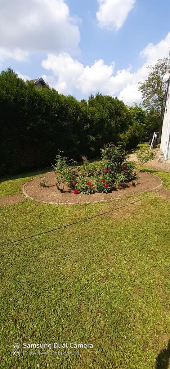 Double Room with Garden View - Photo 1