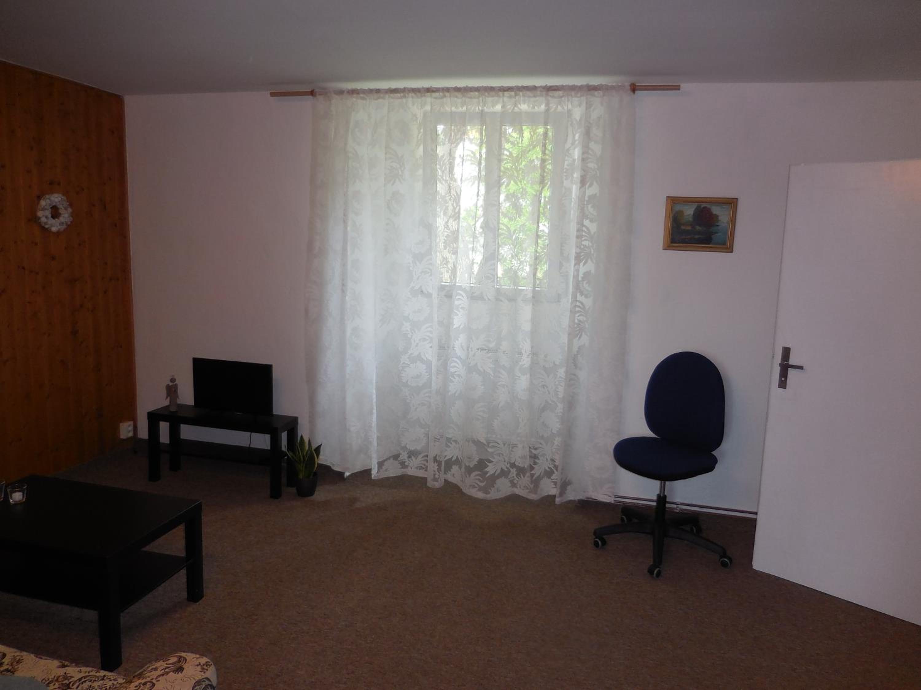 One-Bedroom Apartment photo 3