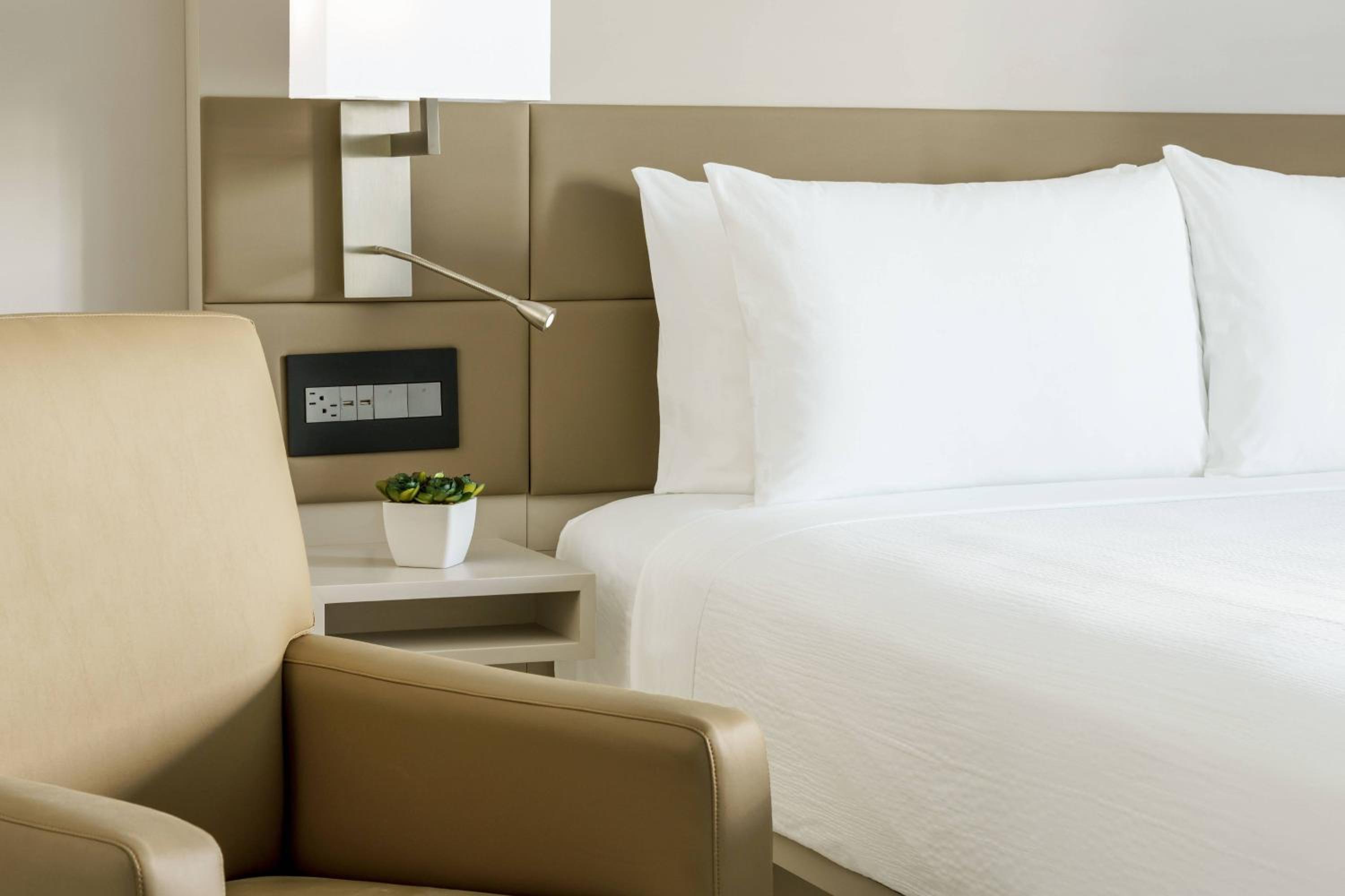 King Room - Photo 10