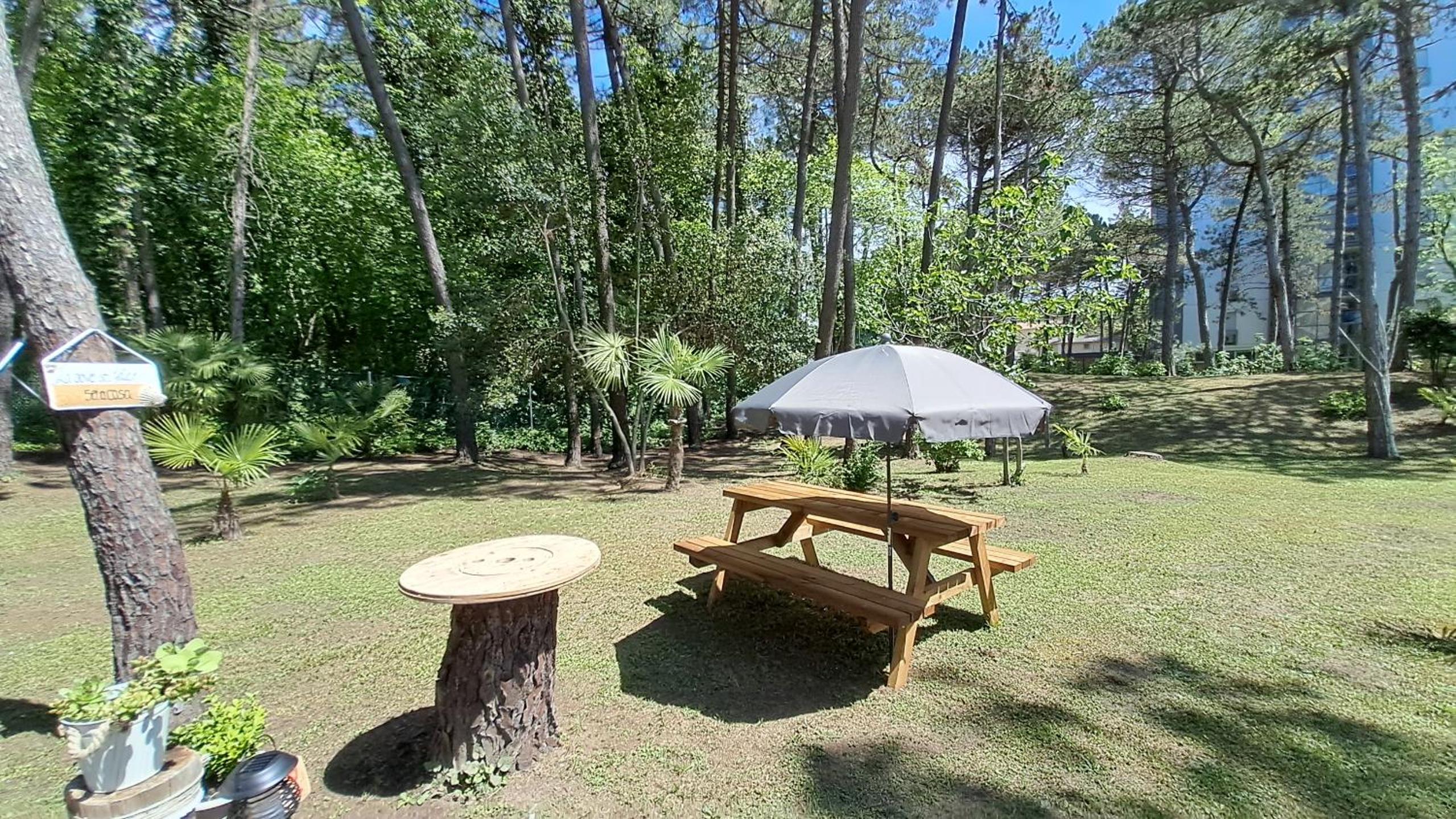 Apartment with Terrace photo 3