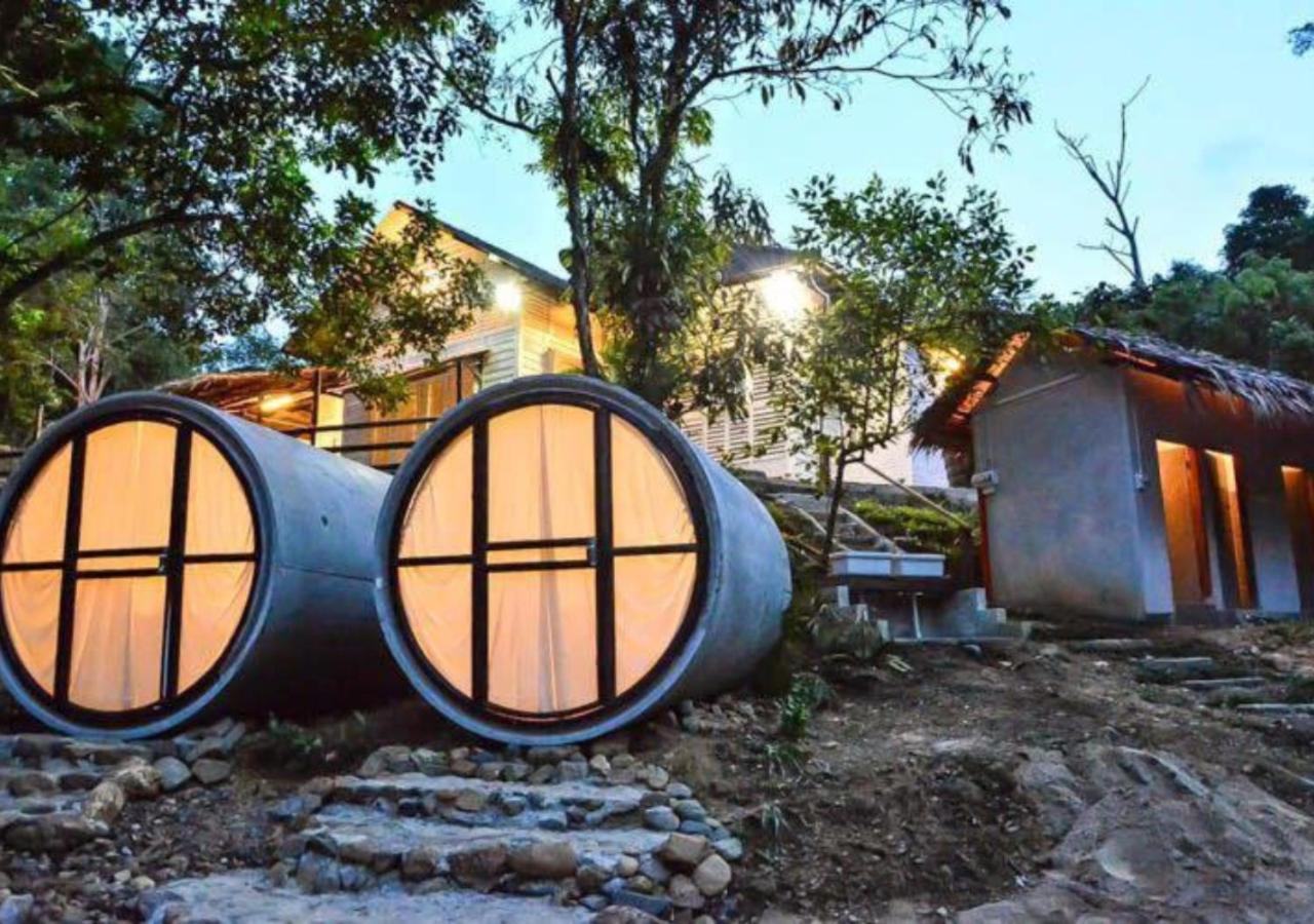 Capsule with Jungle View - Photo 4
