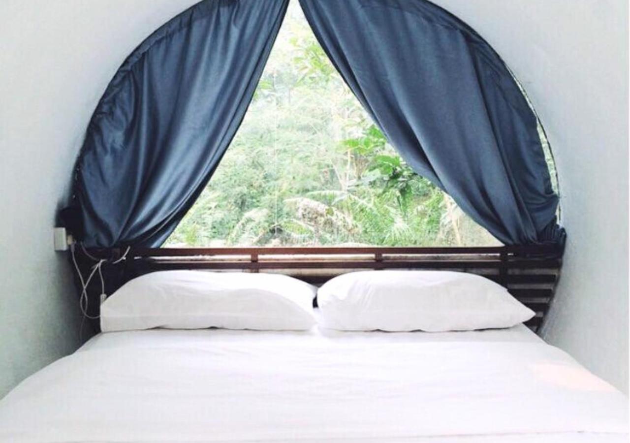 Capsule with Jungle View - Photo 3