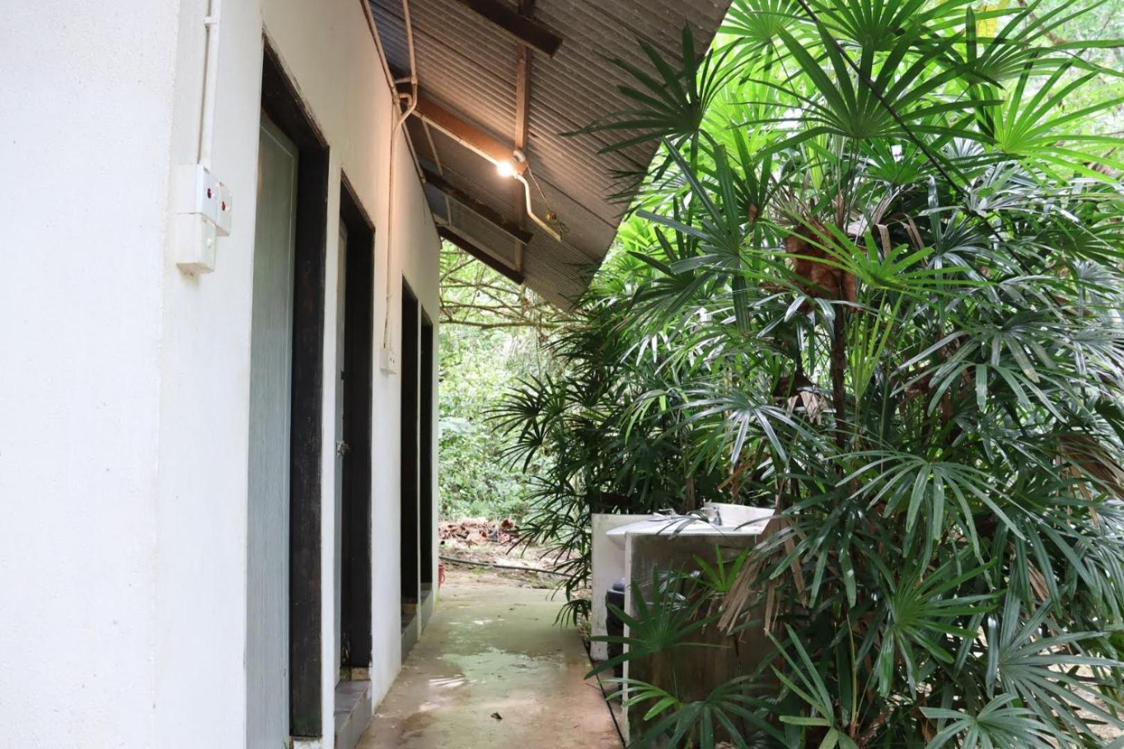 Capsule with Jungle View - Photo 6