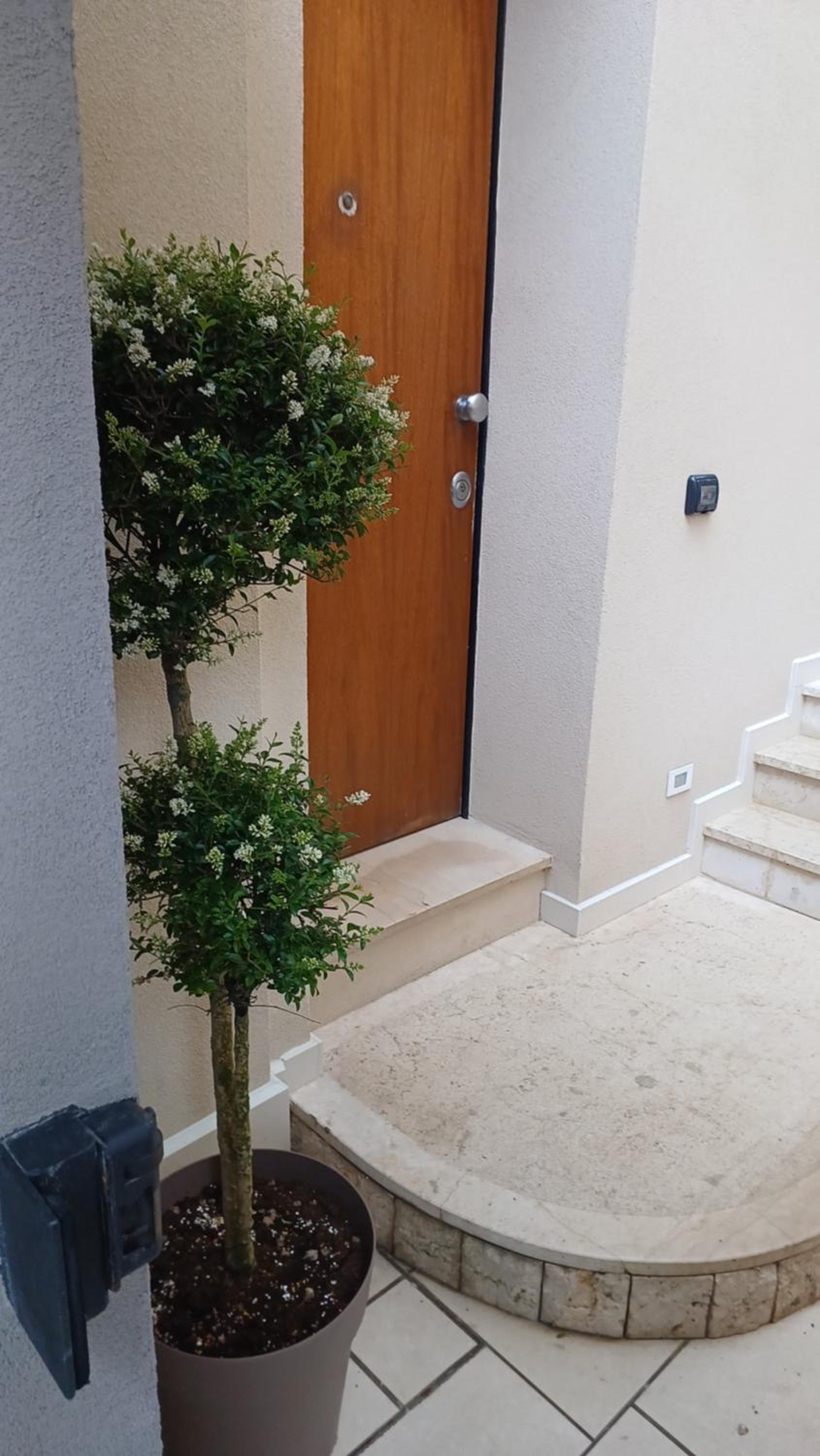 Apartment - Ground Floor - Photo 6