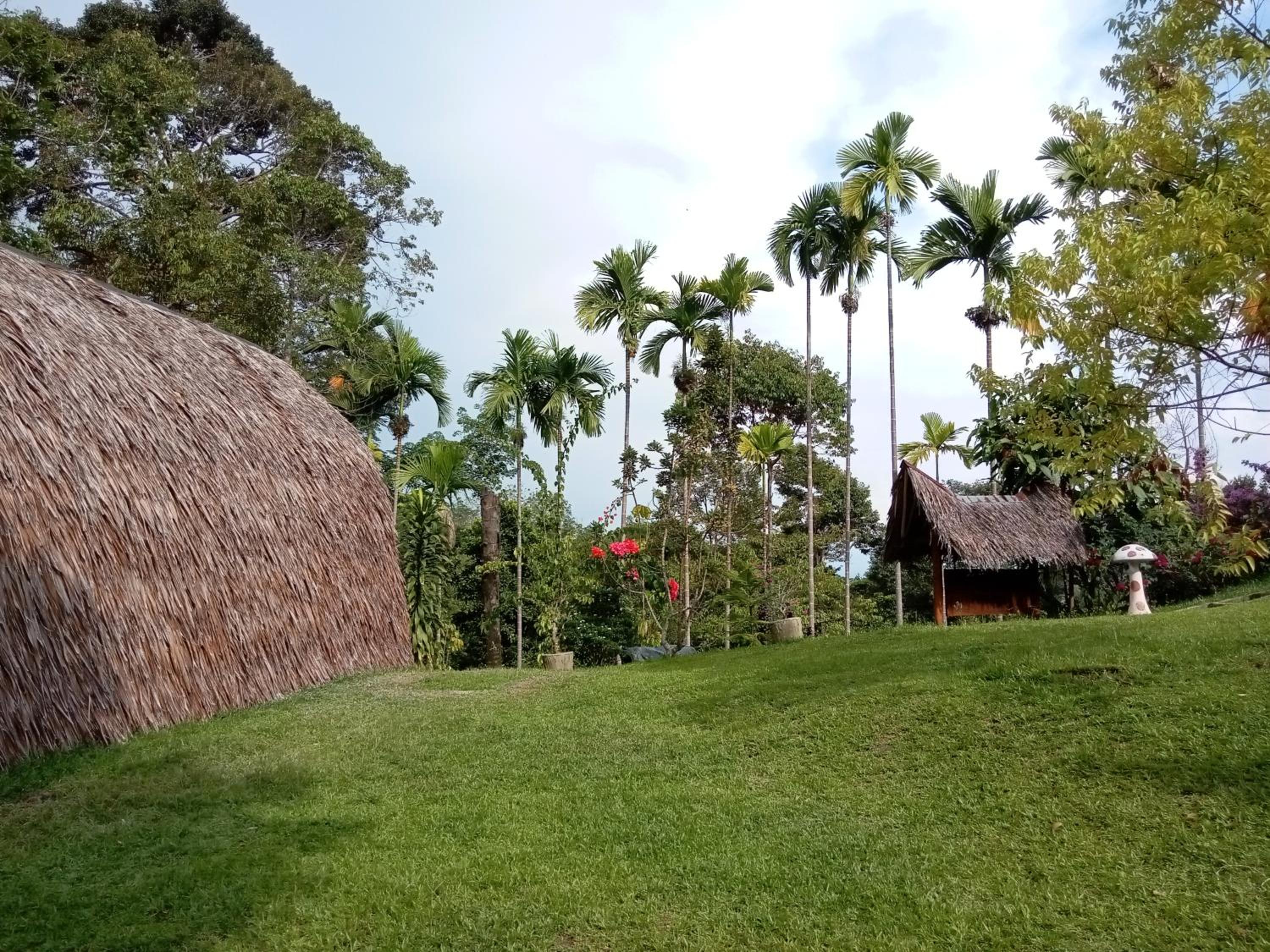 Deluxe Bungalow with Garden View - Photo 3
