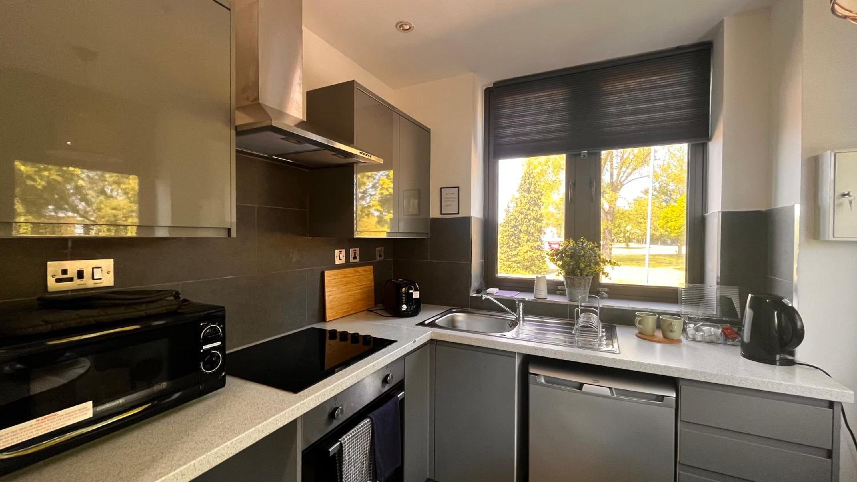 Standard Apartment photo 3