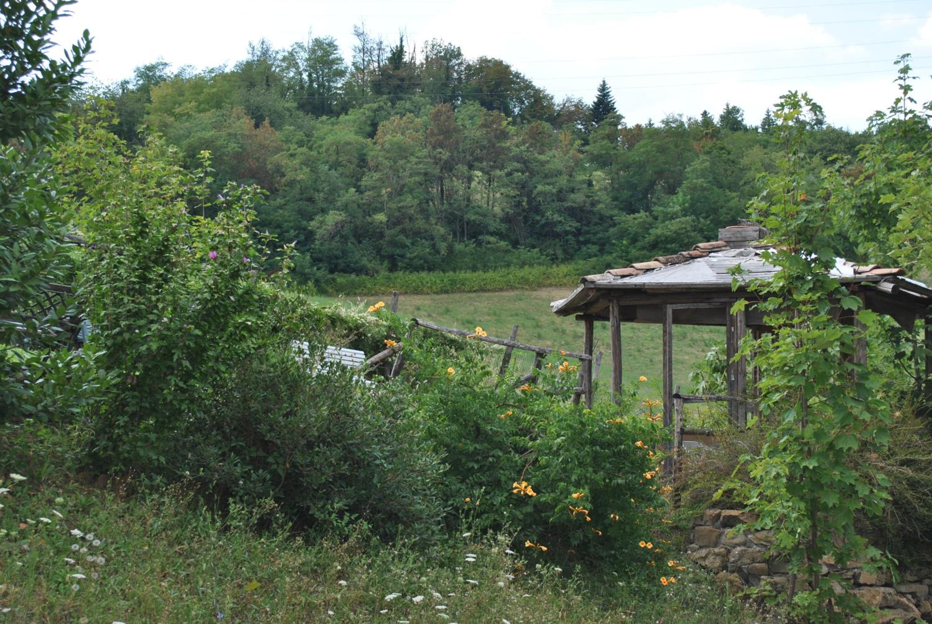 King Room with Garden View - Photo 5