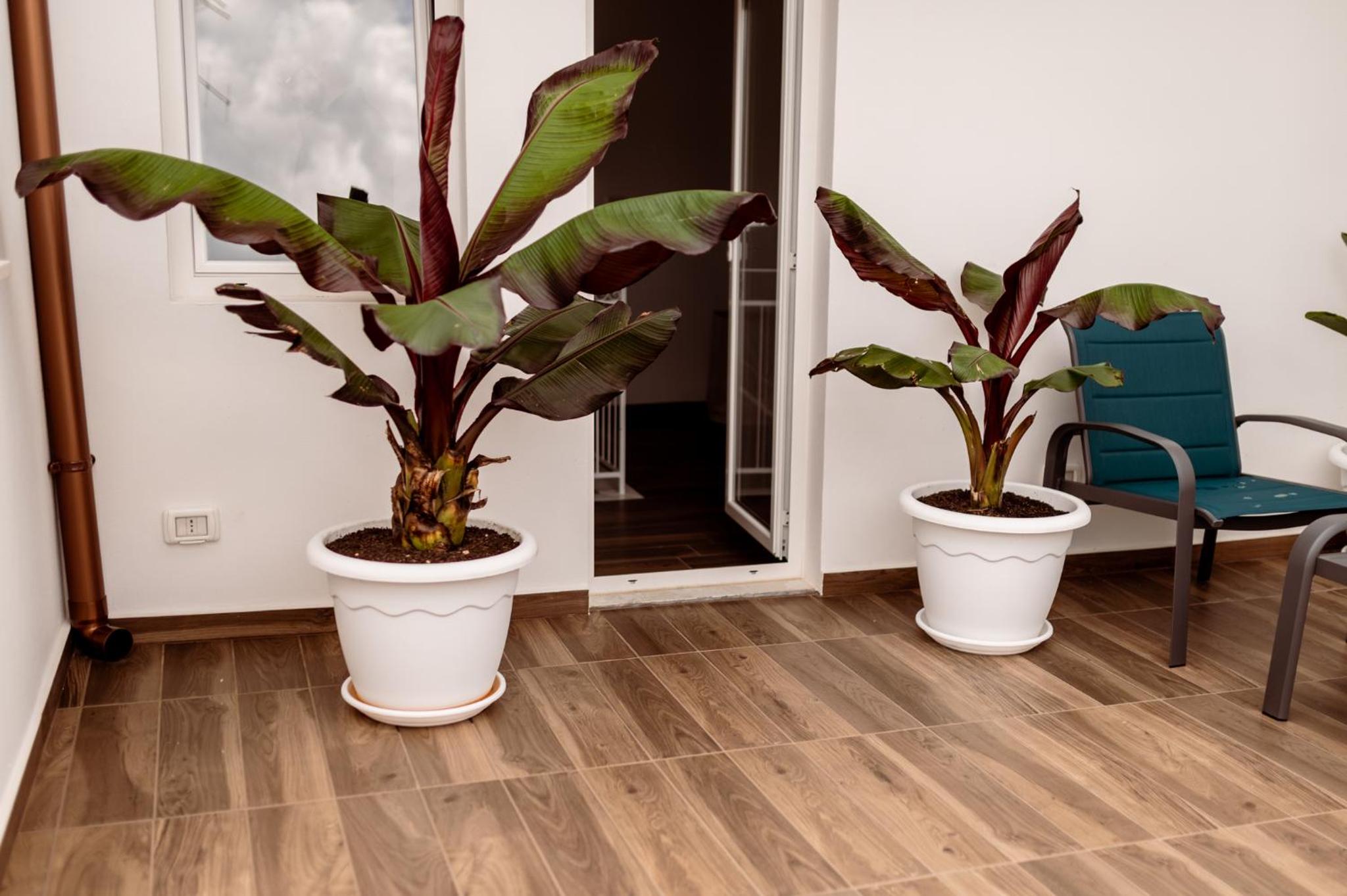 Apartment - Ground Floor - Photo 2